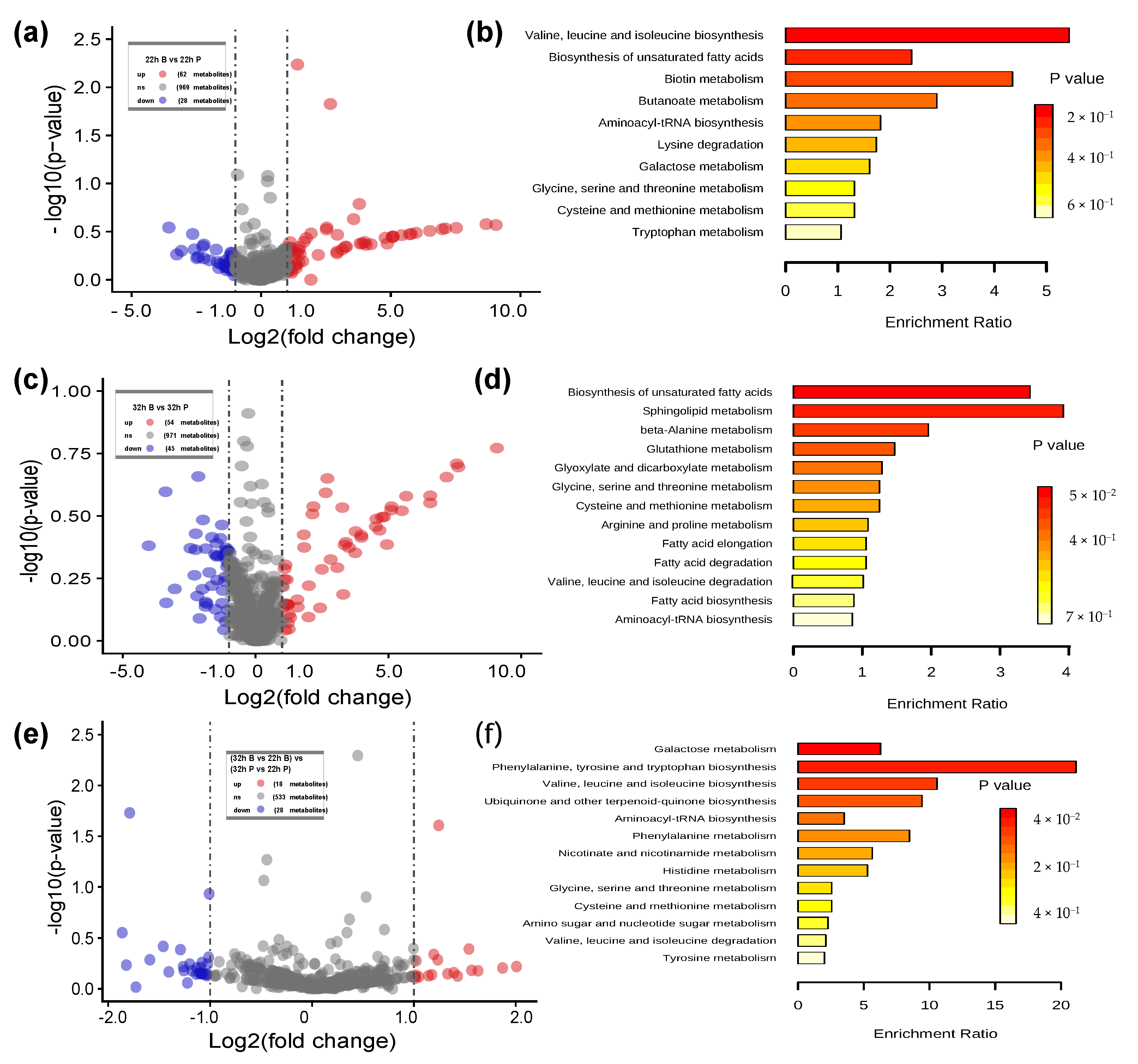 Ijms 22 07596 g006 Ijms 22 07596 g006