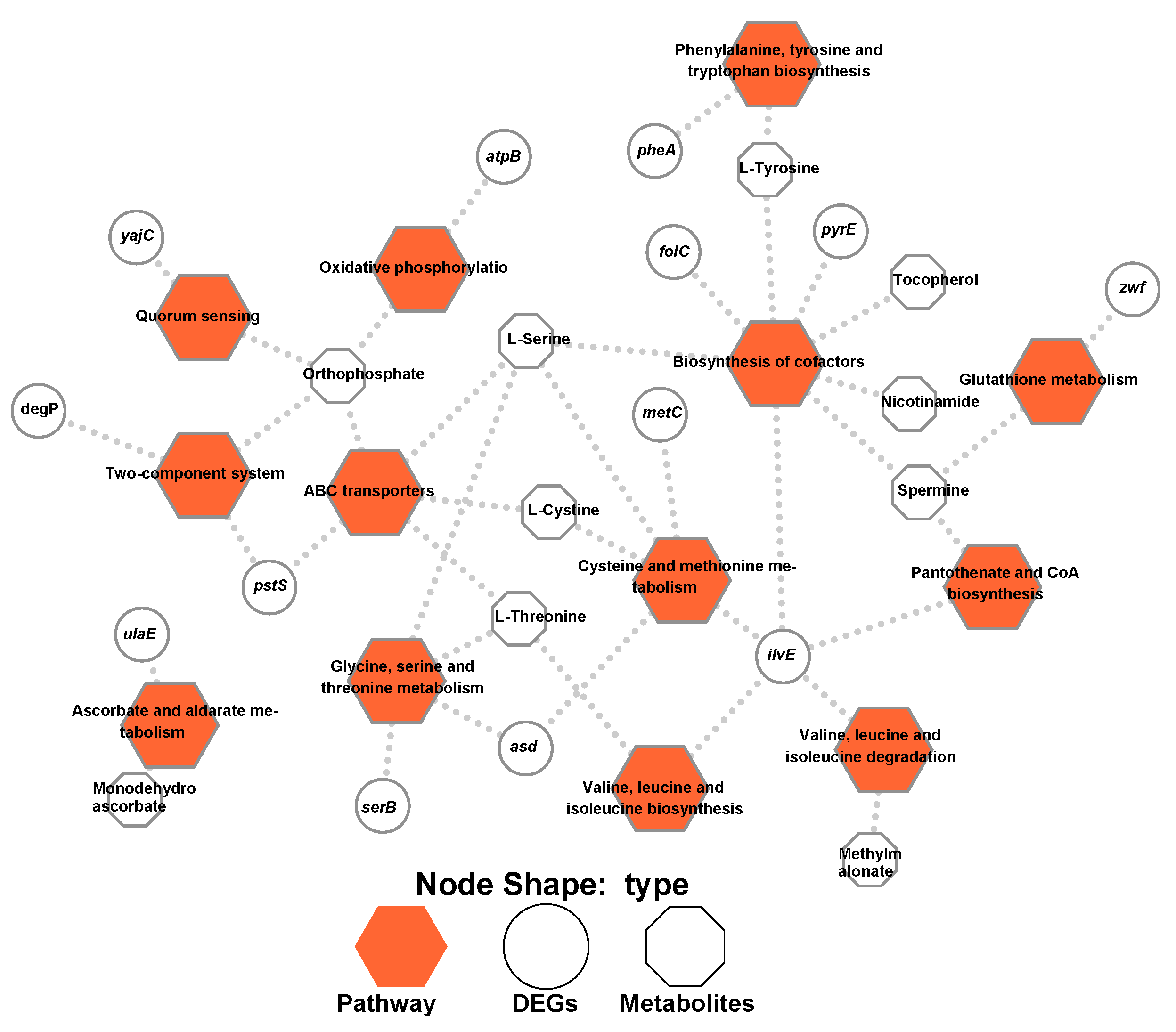 Ijms 22 07596 g008 Ijms 22 07596 g008