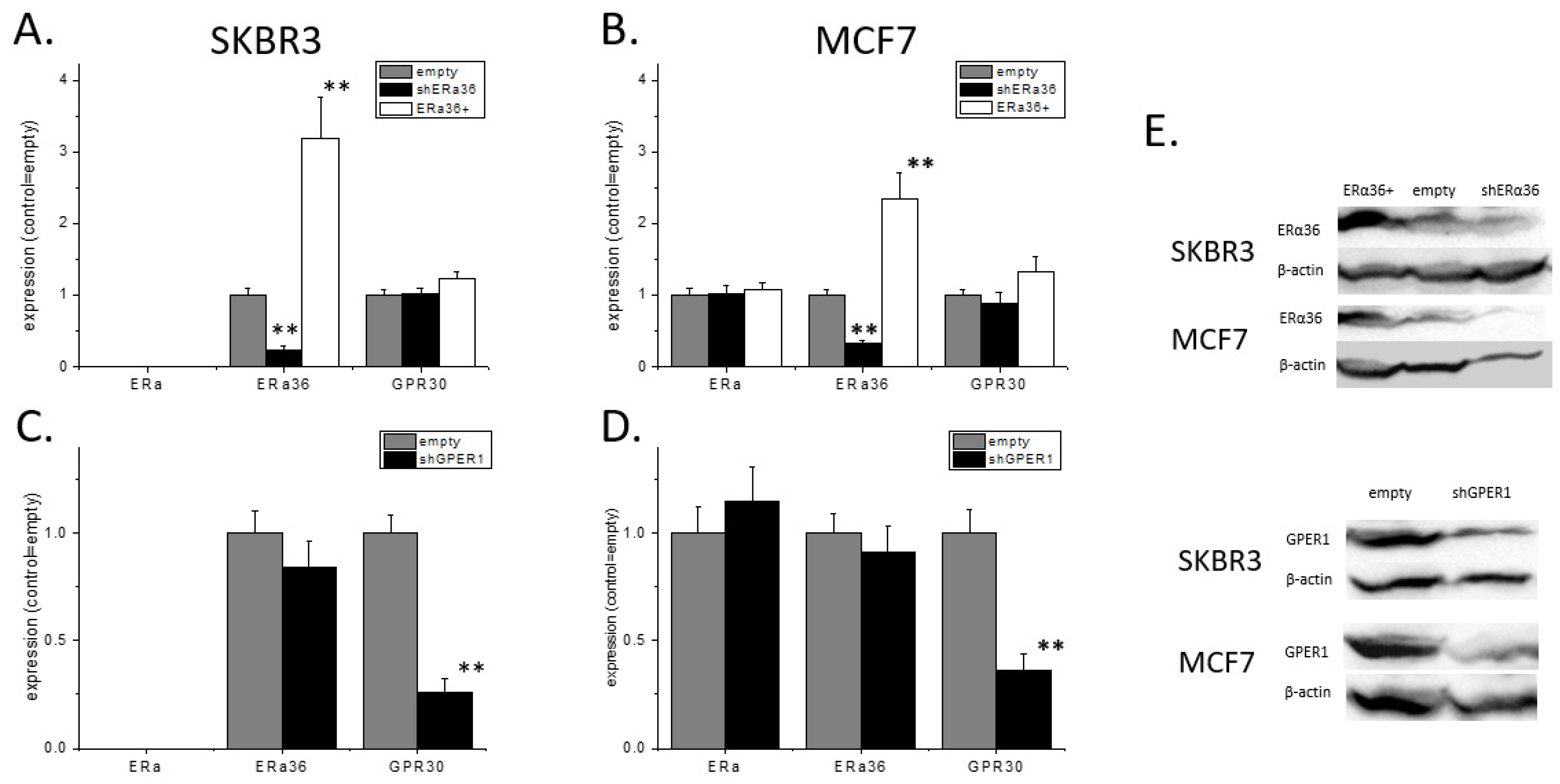 Ijms 22 07603 g001 550