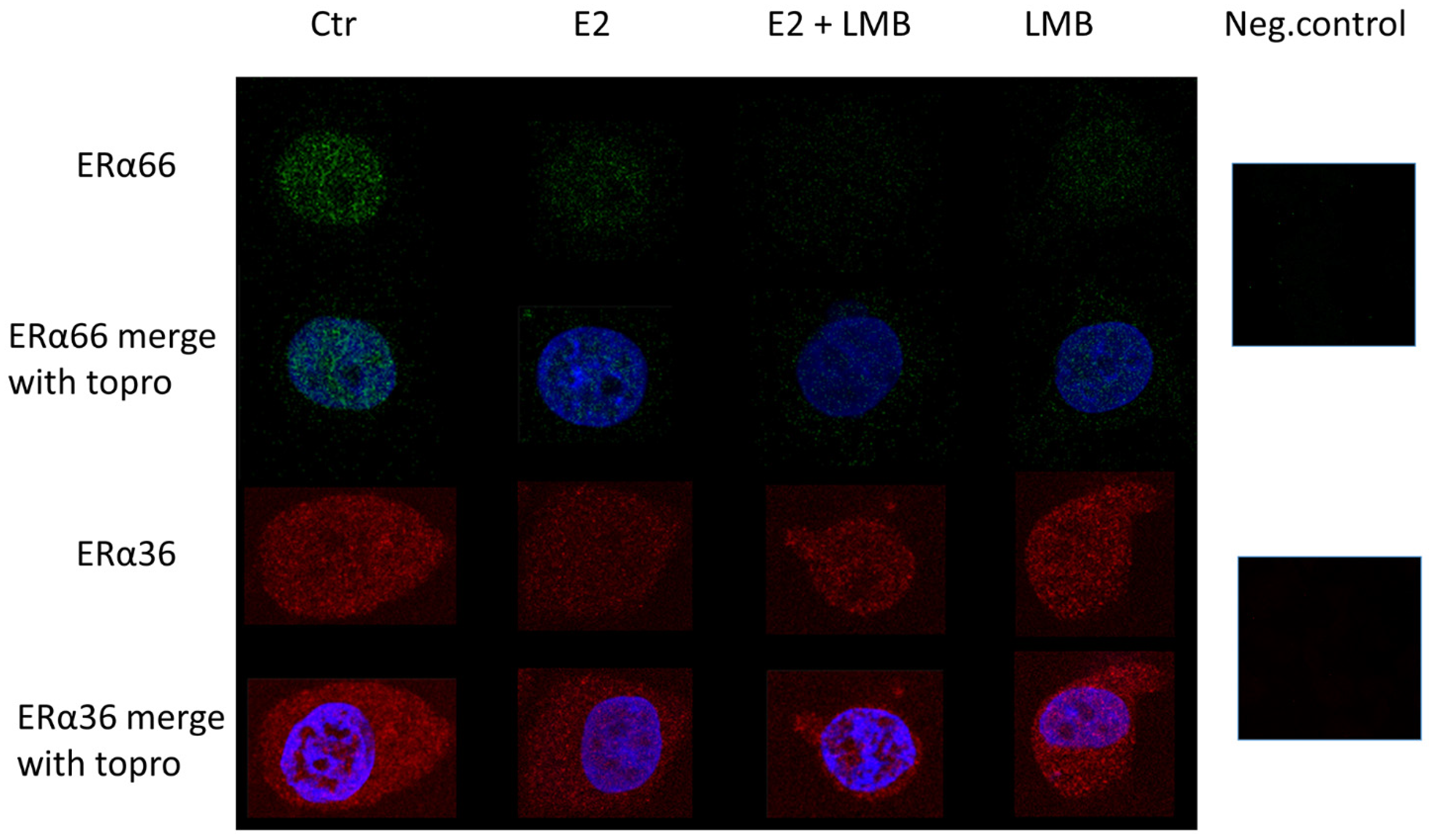 Ijms 22 07603 g005 550