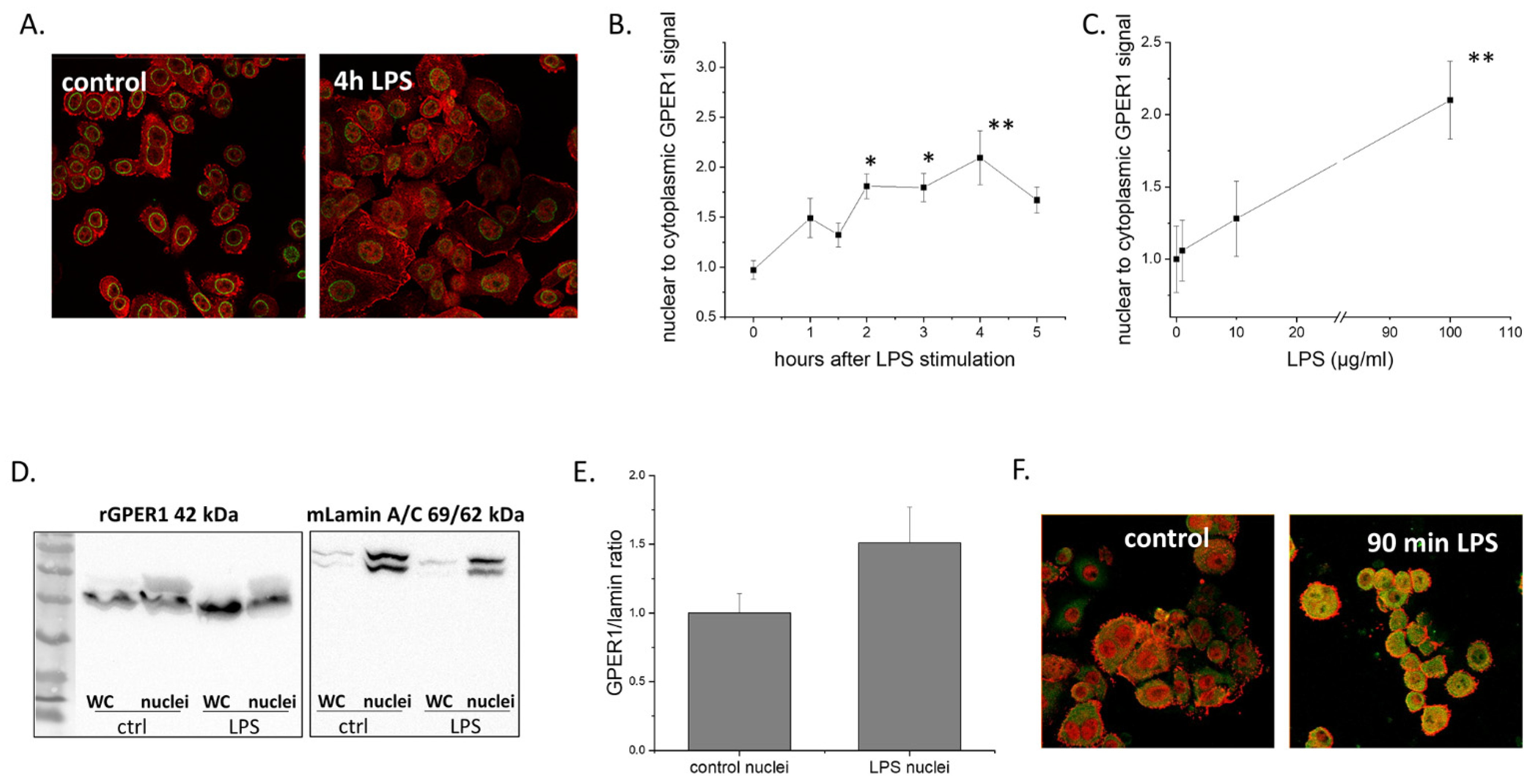 Ijms 22 07603 g006 550