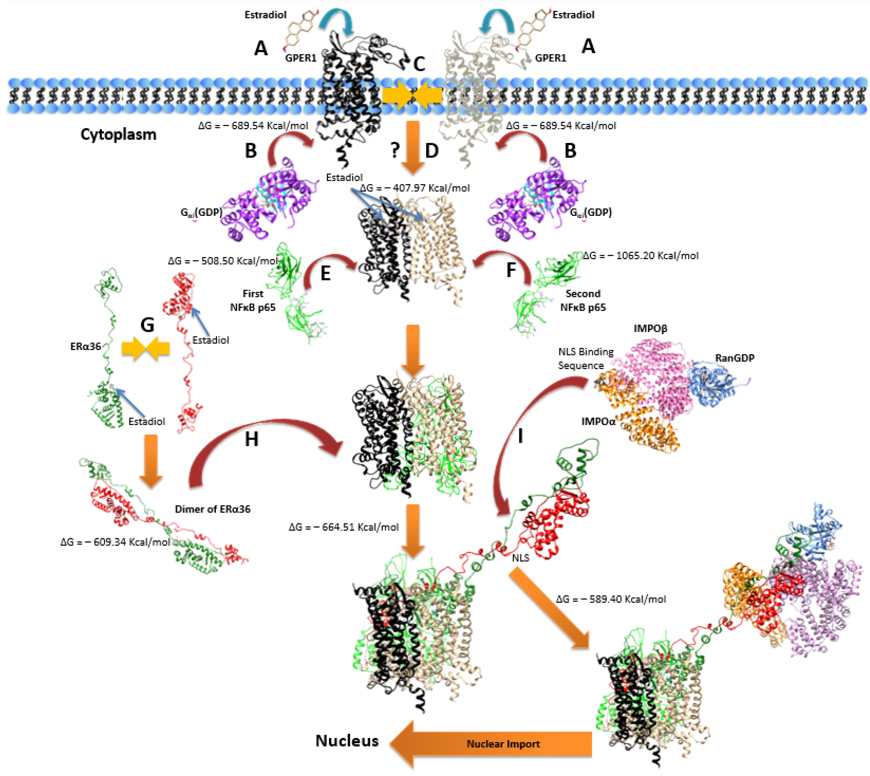Ijms 22 07603 g010 550