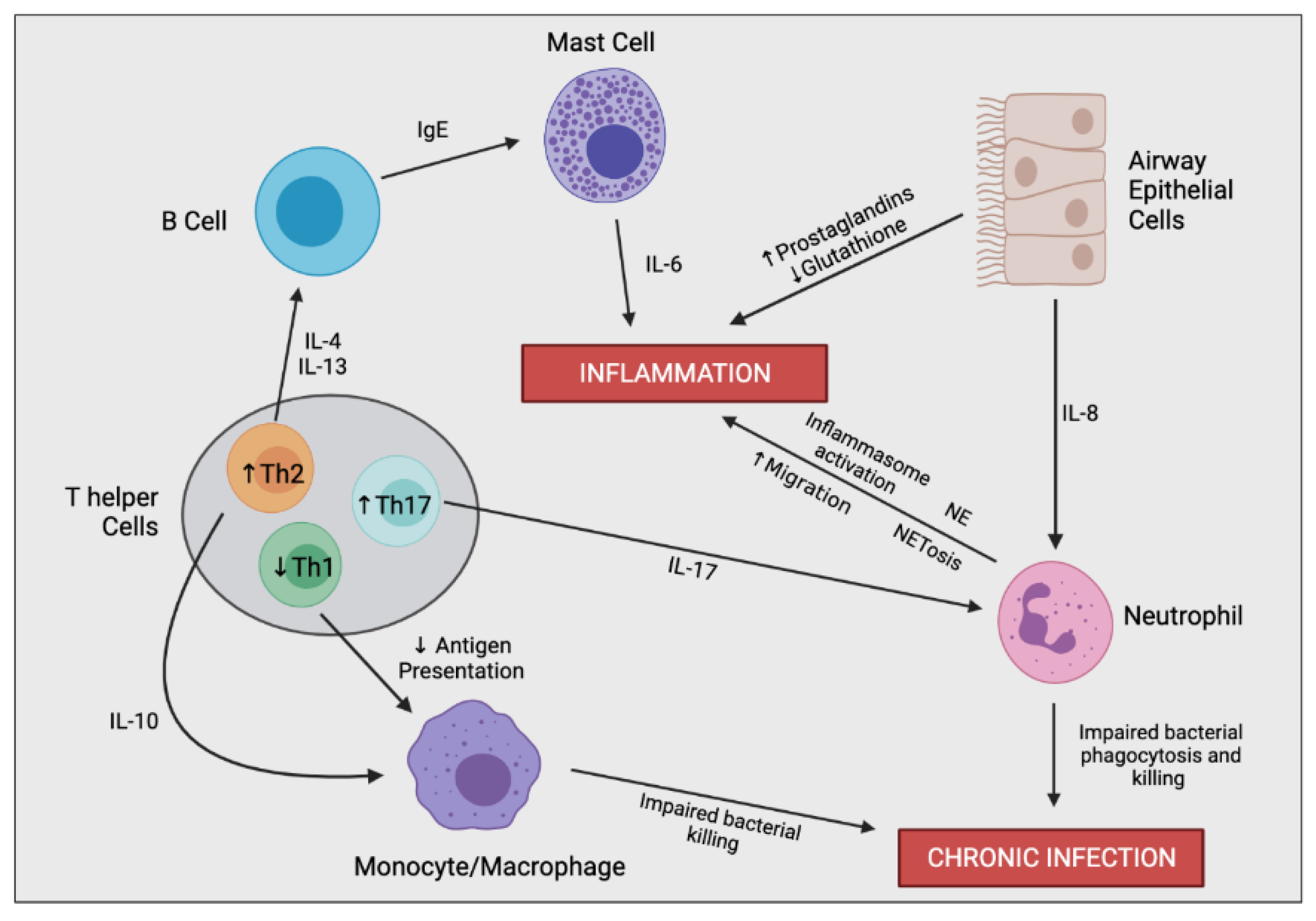 Ijms 22 07606 g003 550