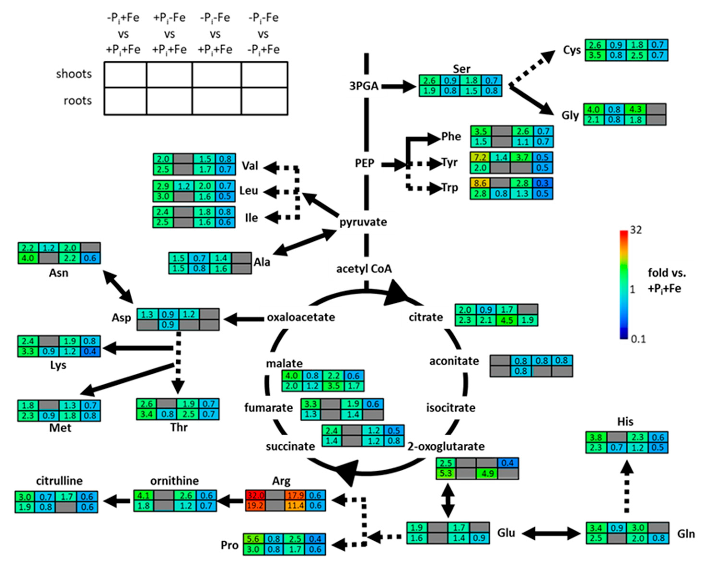 Ijms 22 07609 g003 550