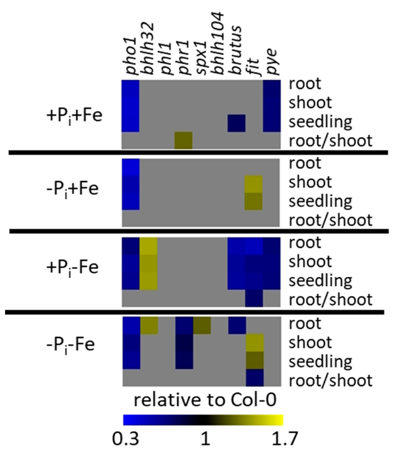 Ijms 22 07609 g006 550