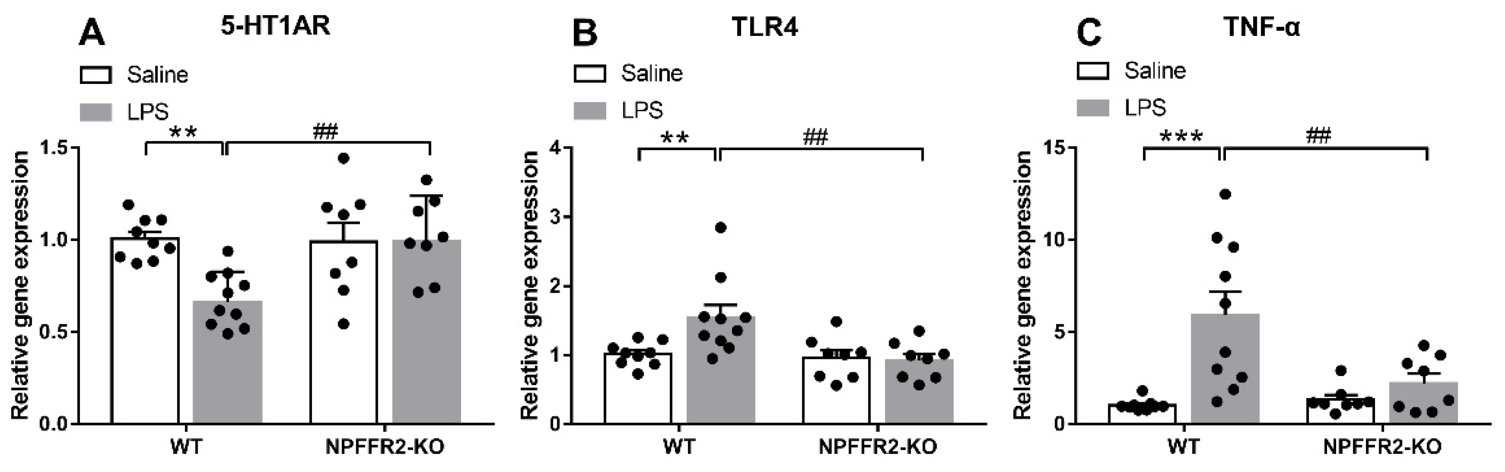 Ijms 22 07611 g002 550