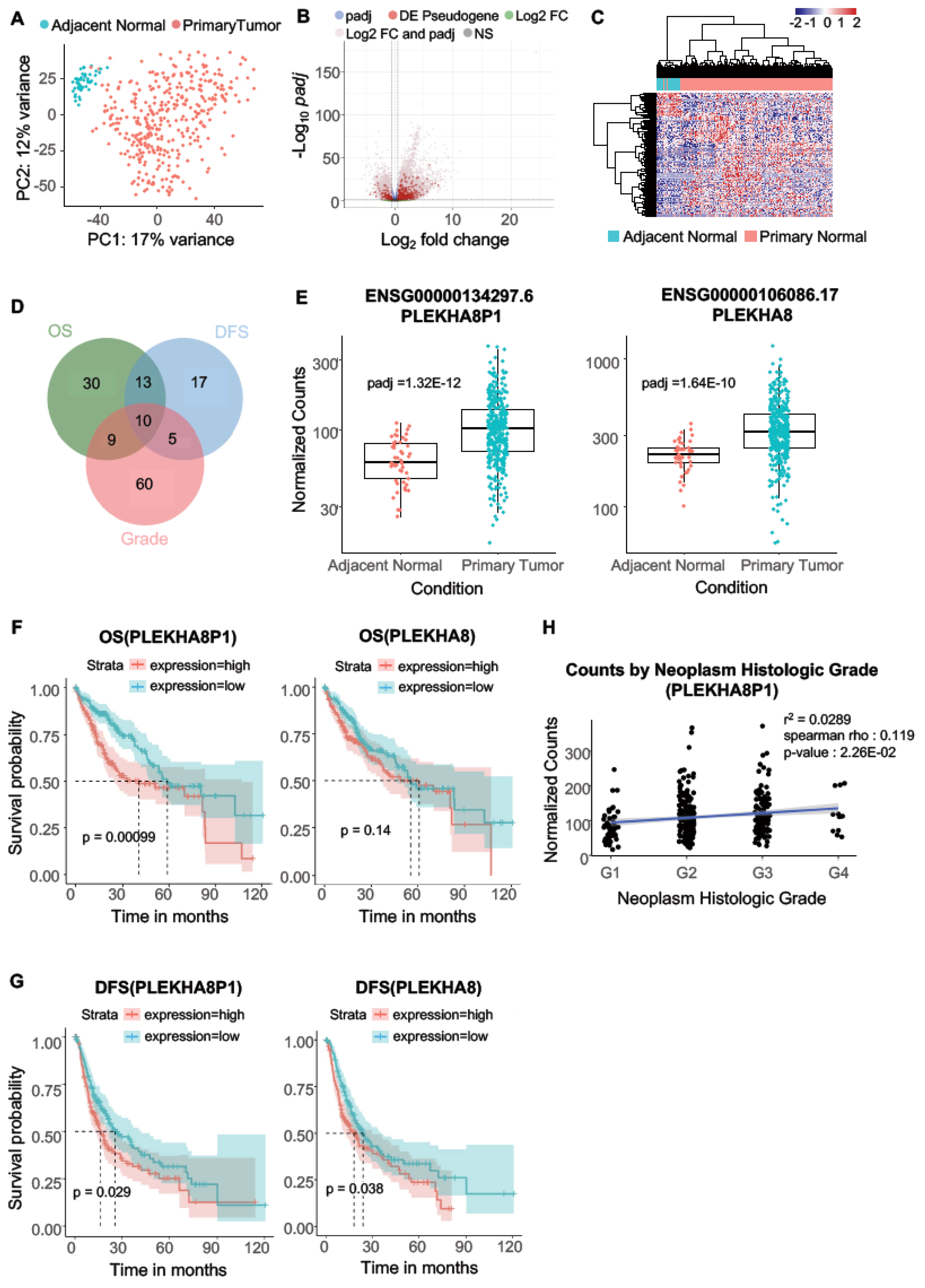 Ijms 22 07614 g001 550