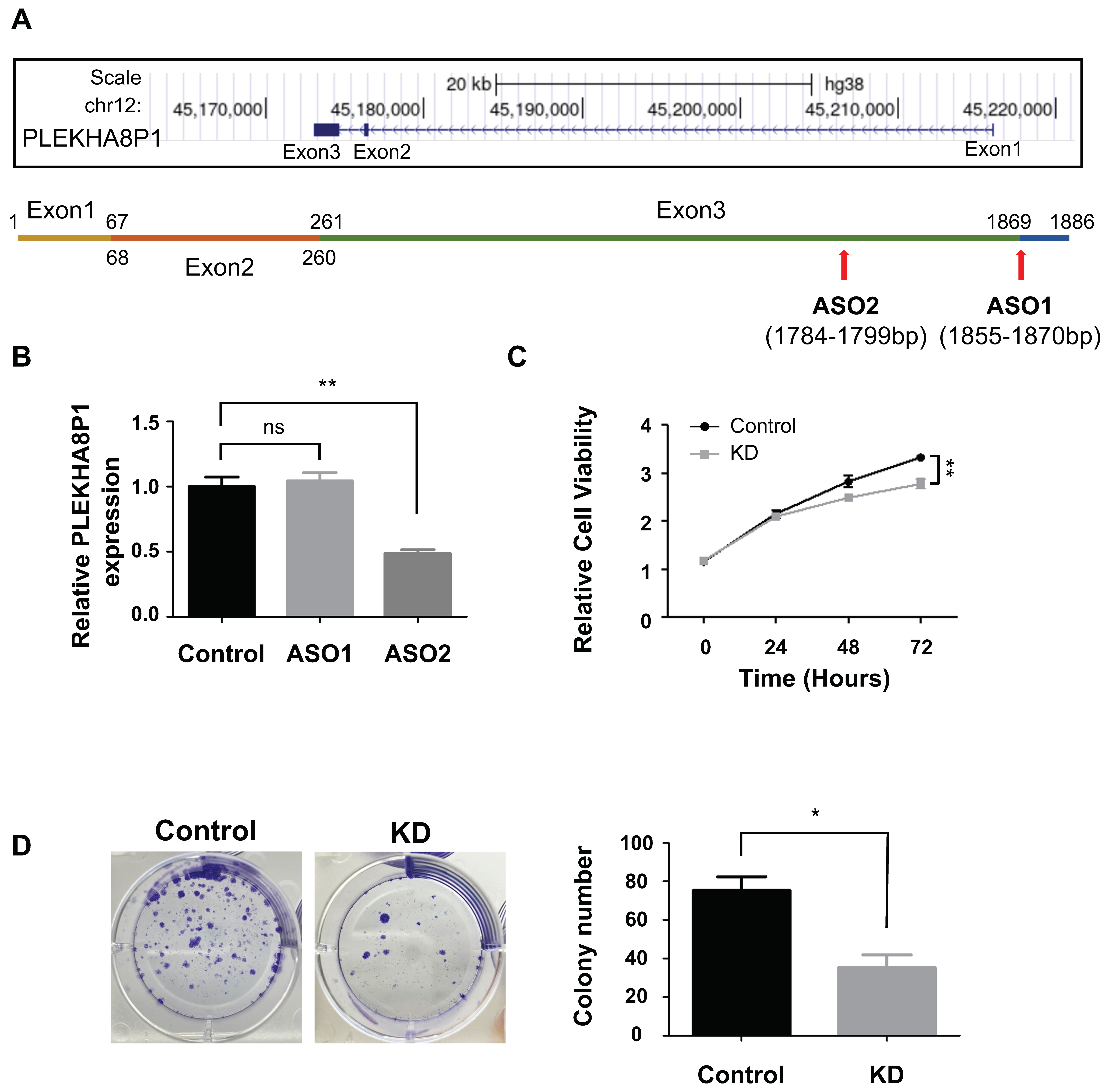 Ijms 22 07614 g002 550