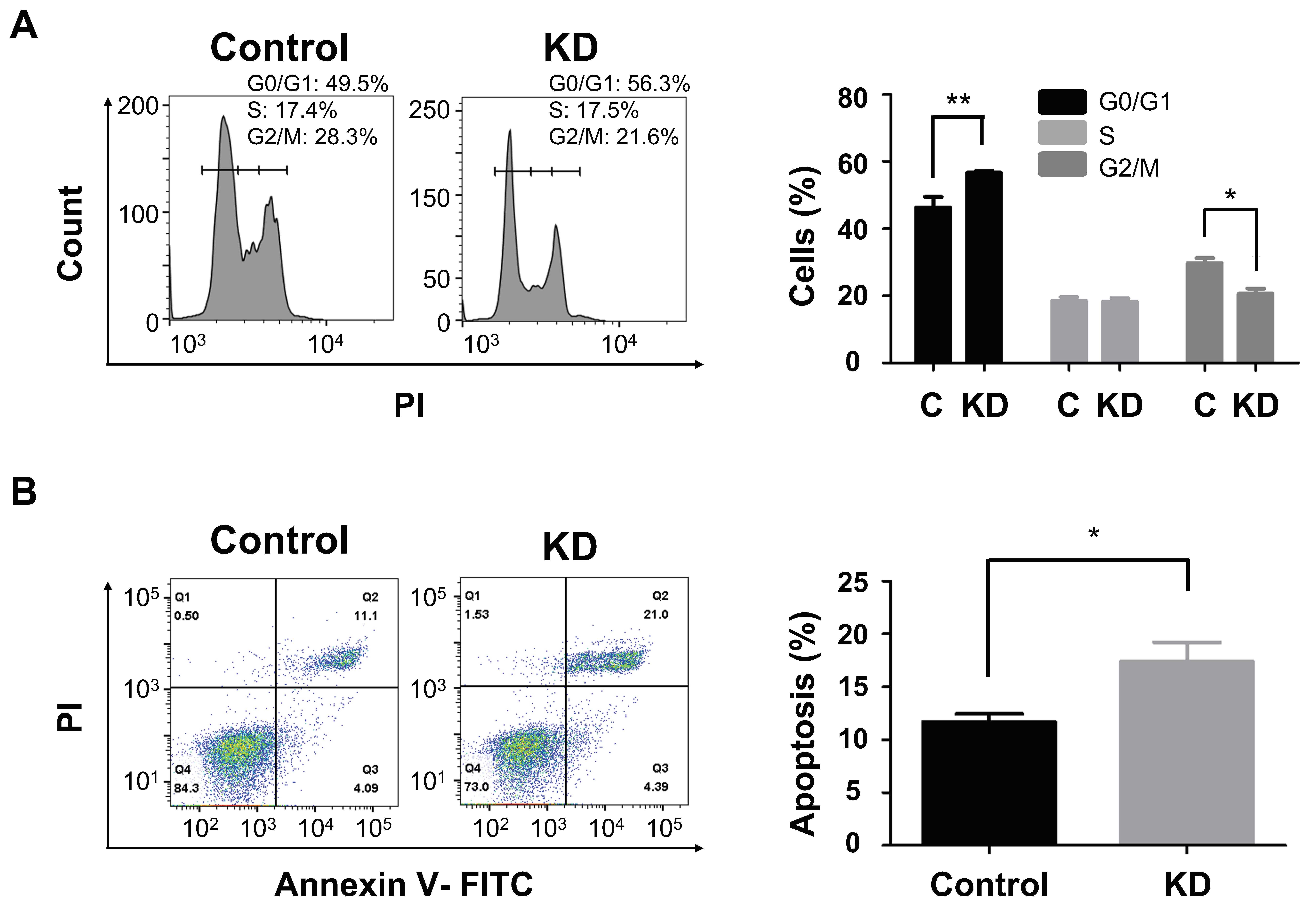 Ijms 22 07614 g003 550