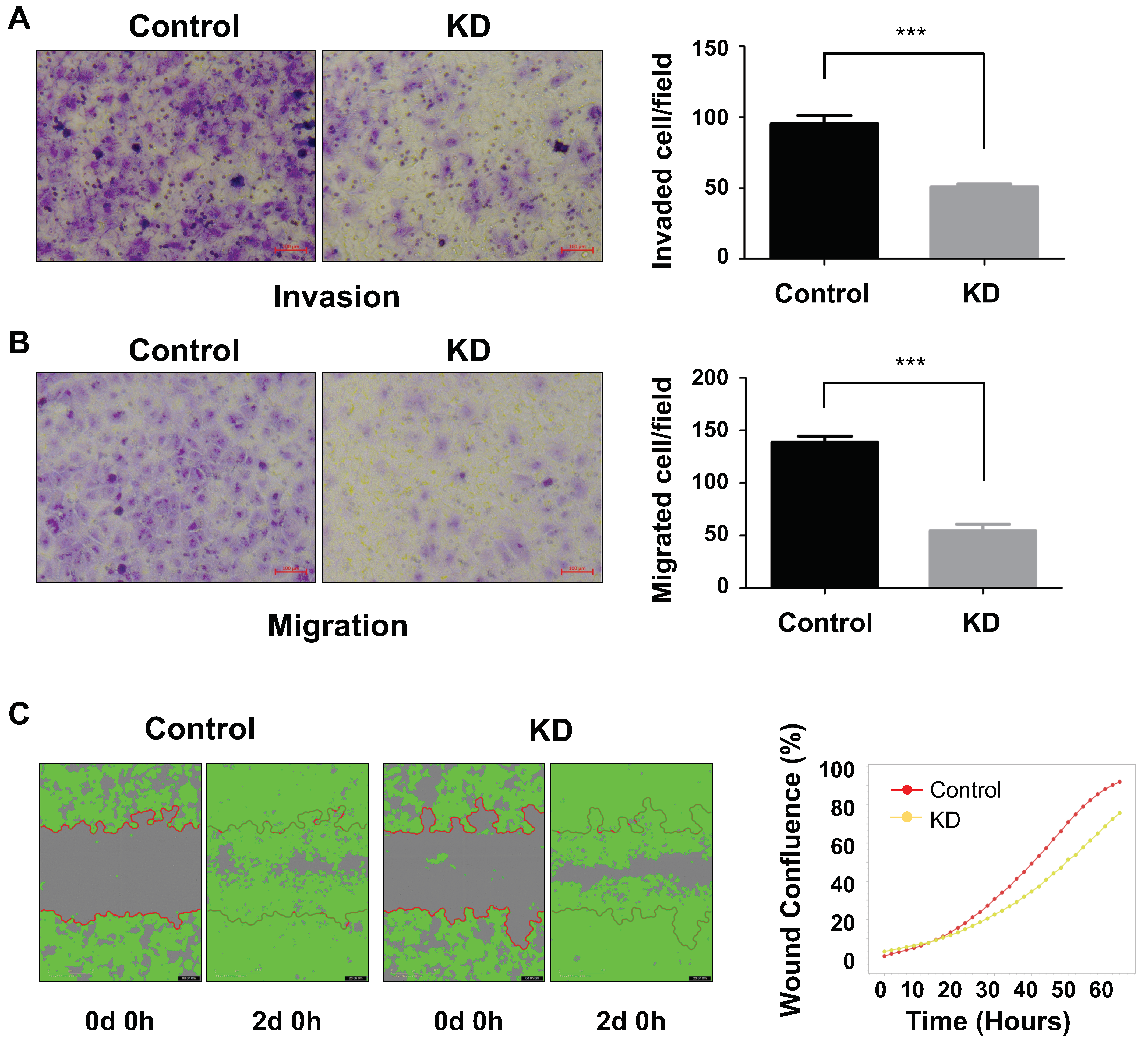 Ijms 22 07614 g004 550