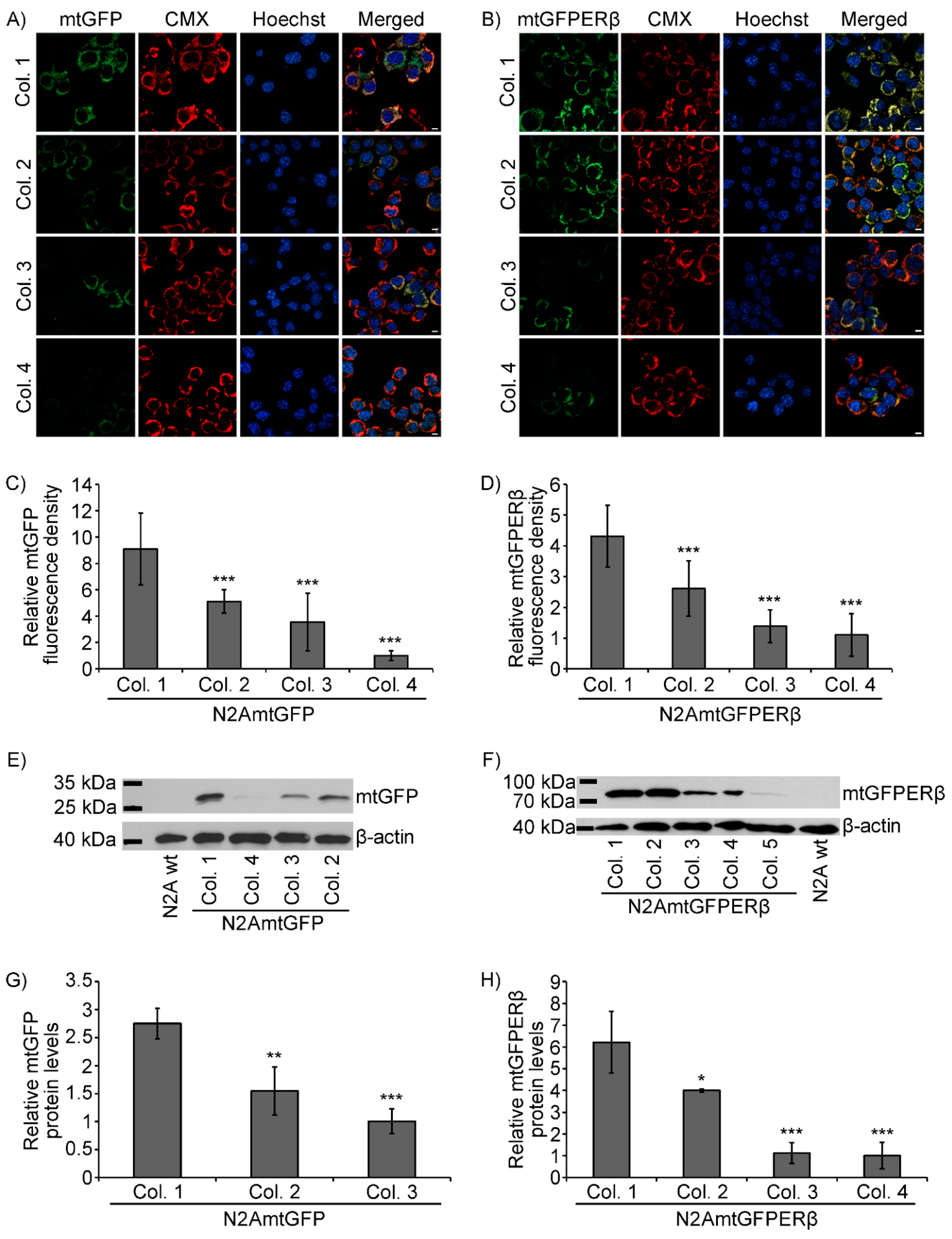 Ijms 22 07620 g001 Ijms 22 07620 g001