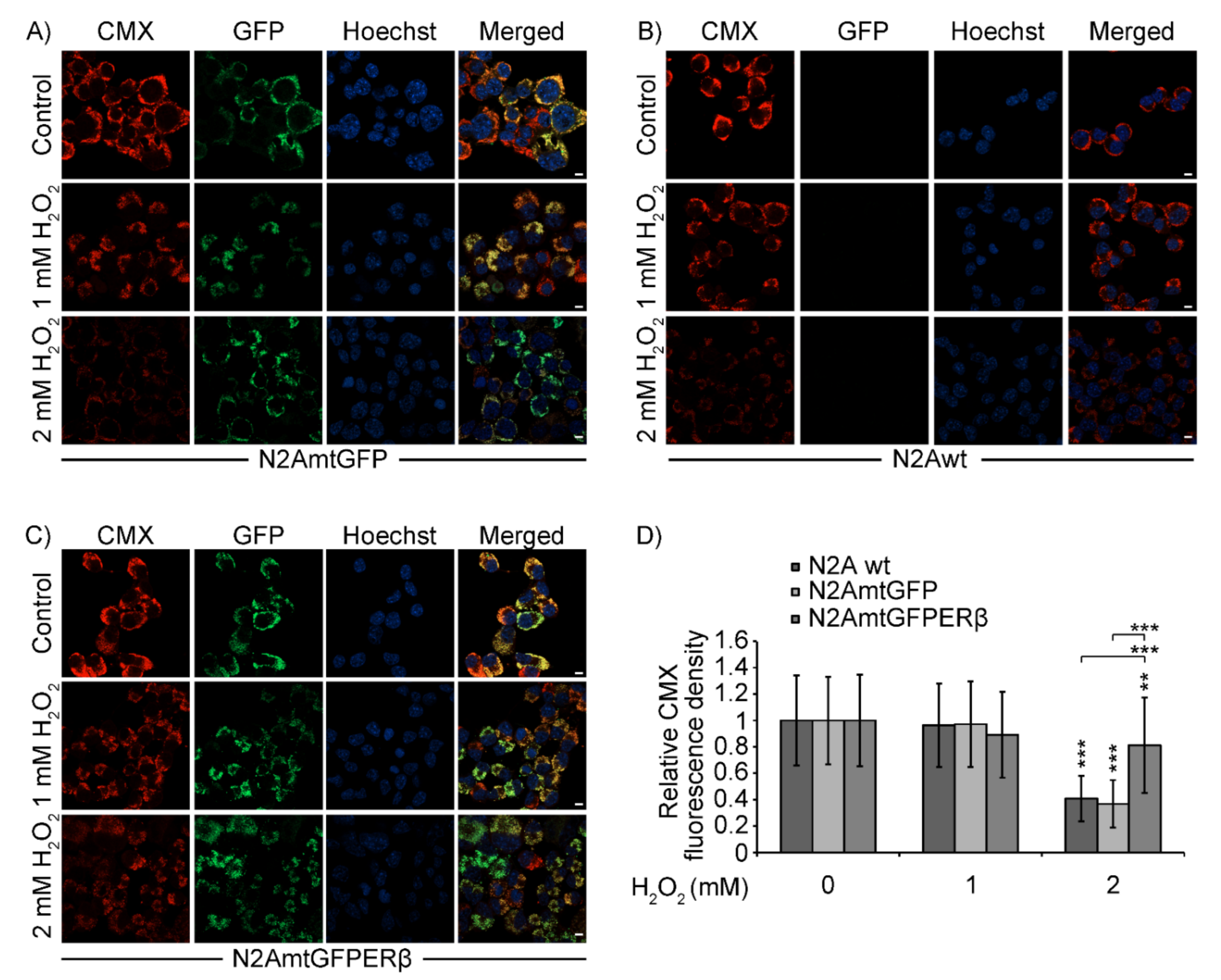 Ijms 22 07620 g005 Ijms 22 07620 g005