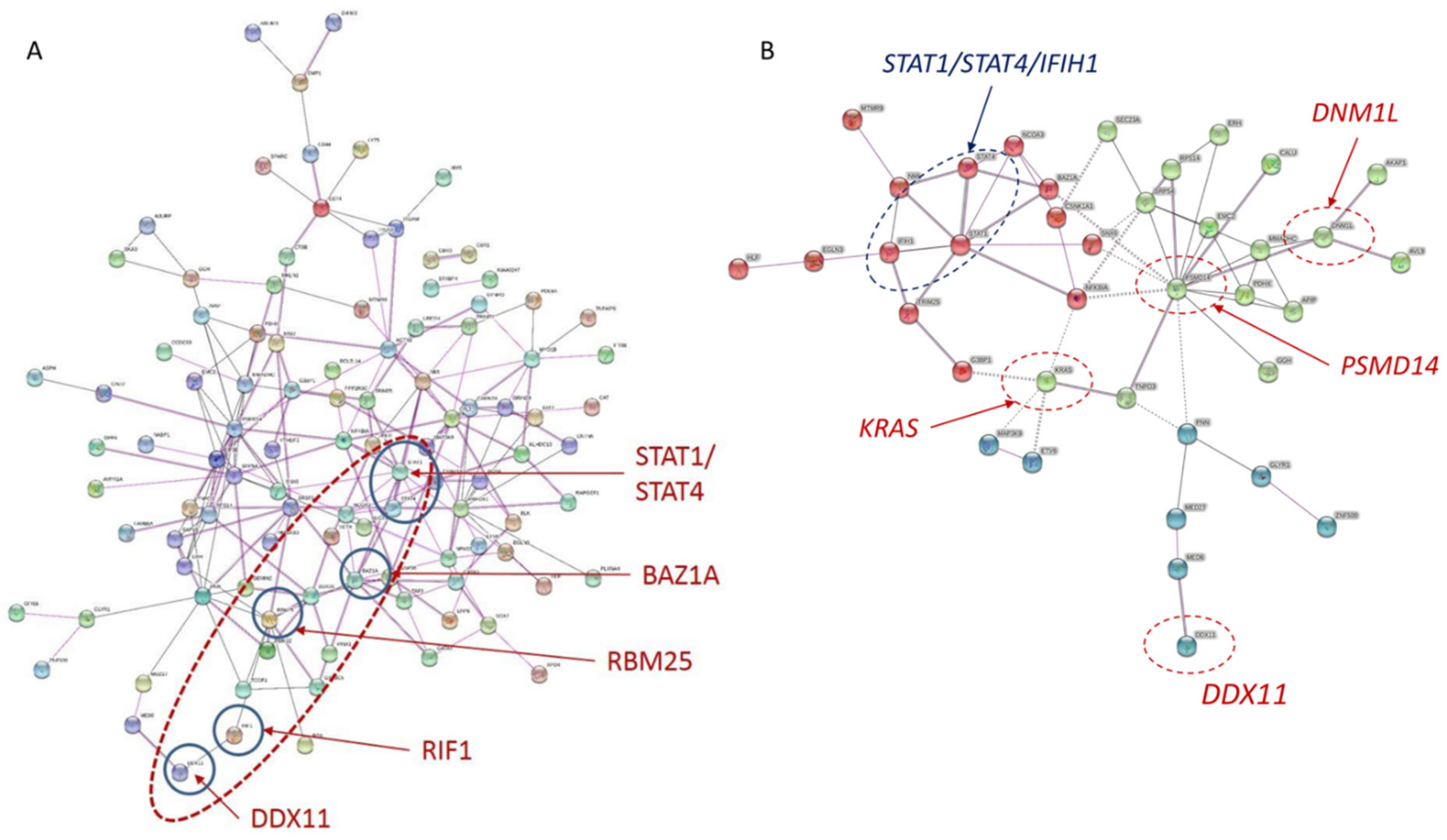 Ijms 22 07624 g003 550