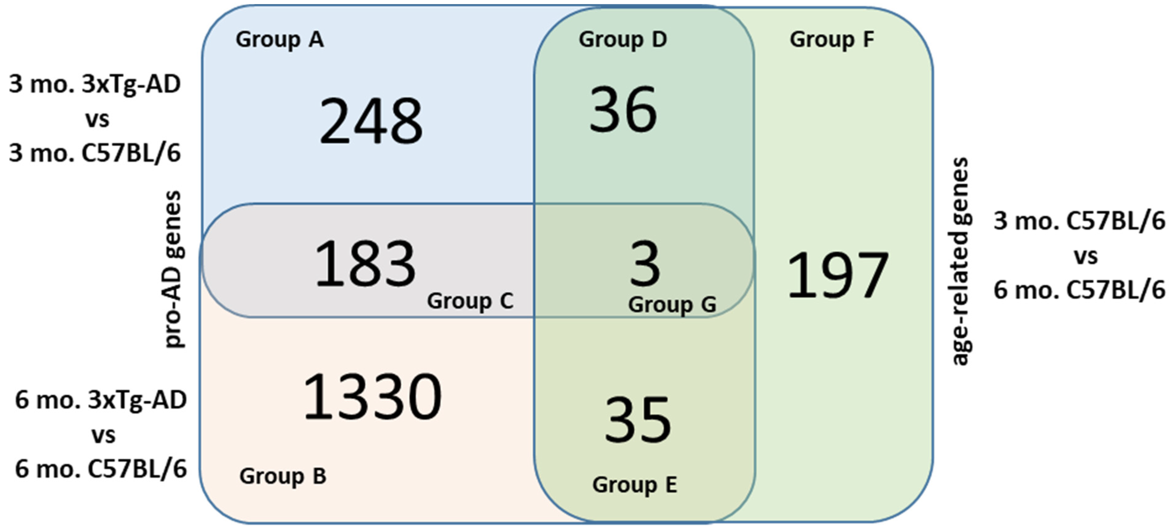 Ijms 22 07629 g003 Ijms 22 07629 g003