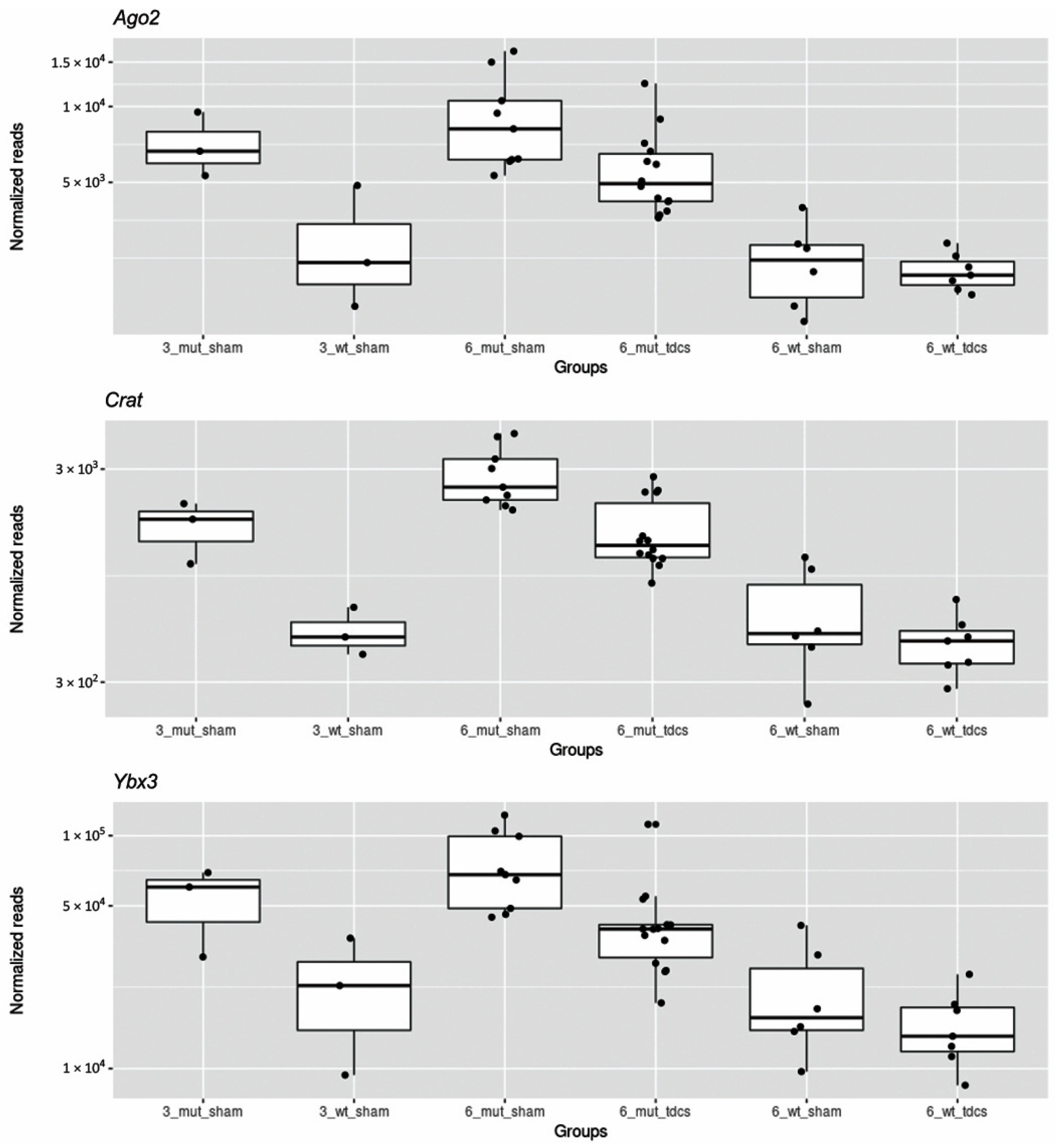 Ijms 22 07629 g005 Ijms 22 07629 g005