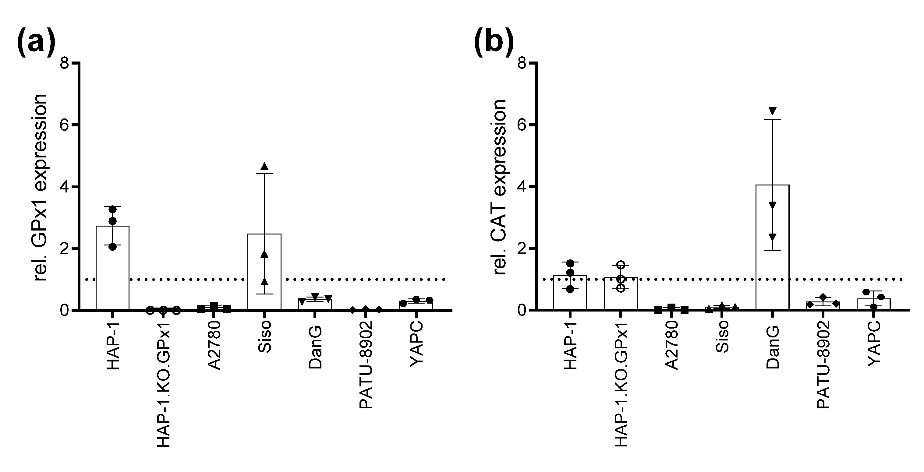 Ijms 22 07631 g007 Ijms 22 07631 g007
