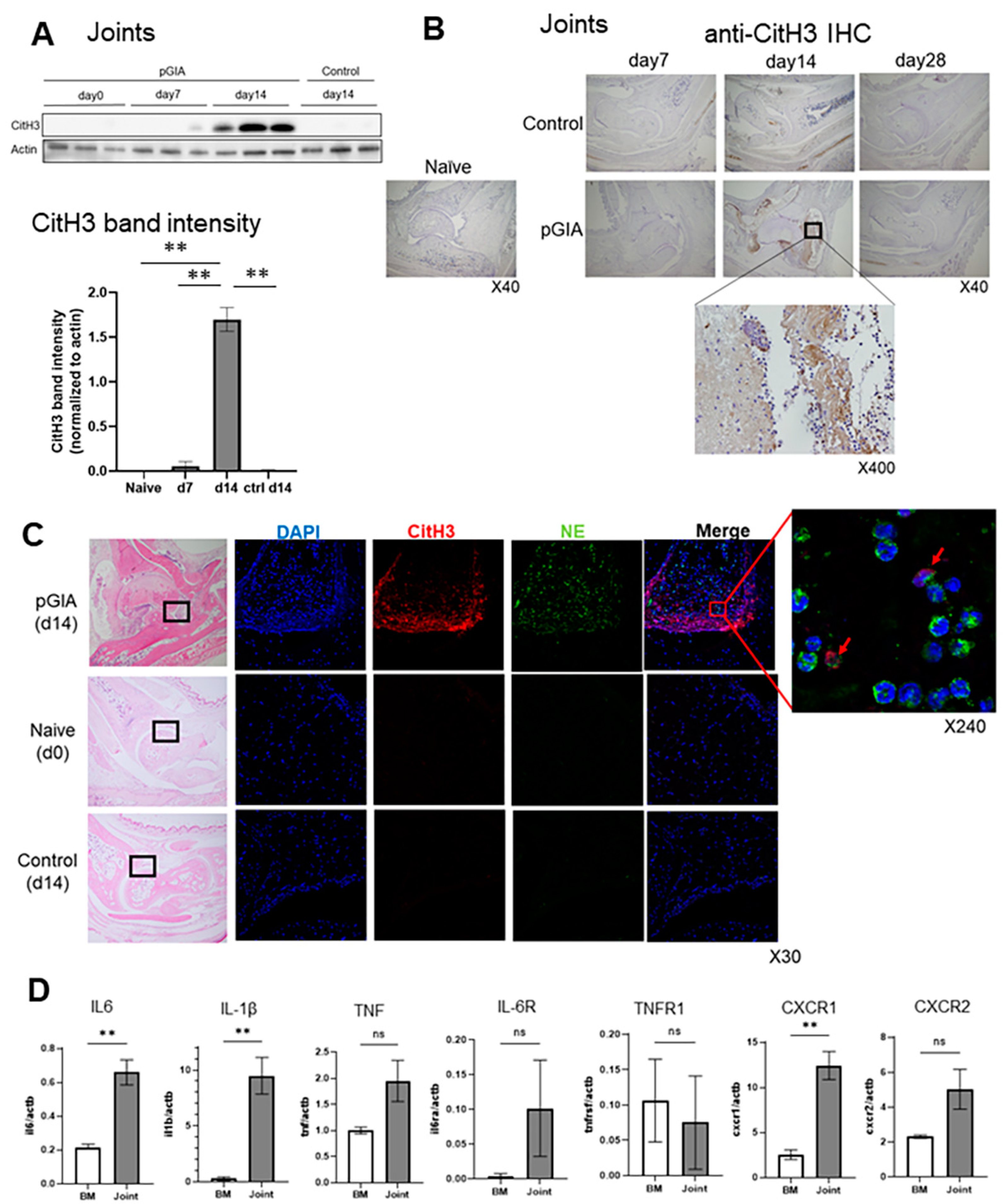 Ijms 22 07633 g002 550