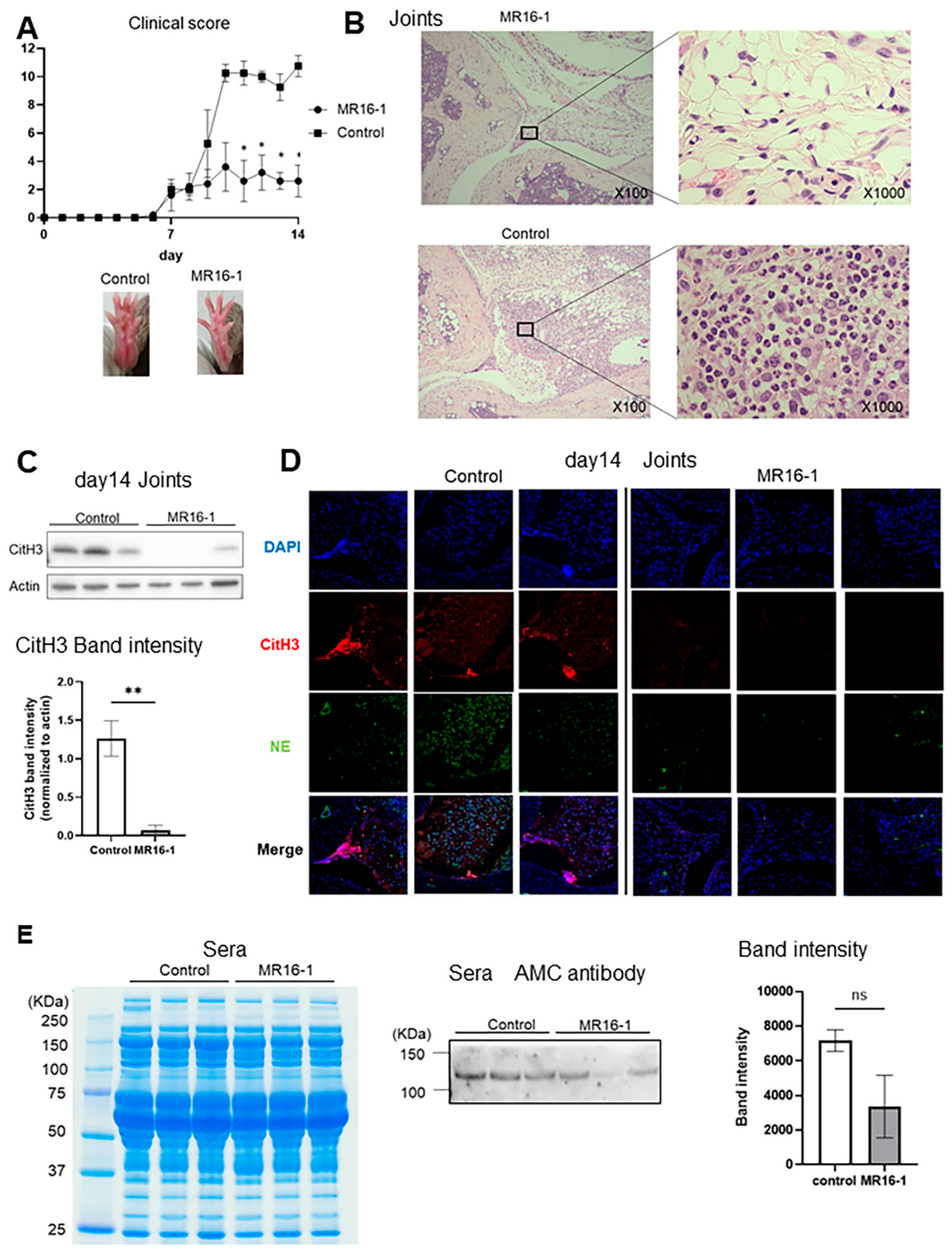 Ijms 22 07633 g003 550