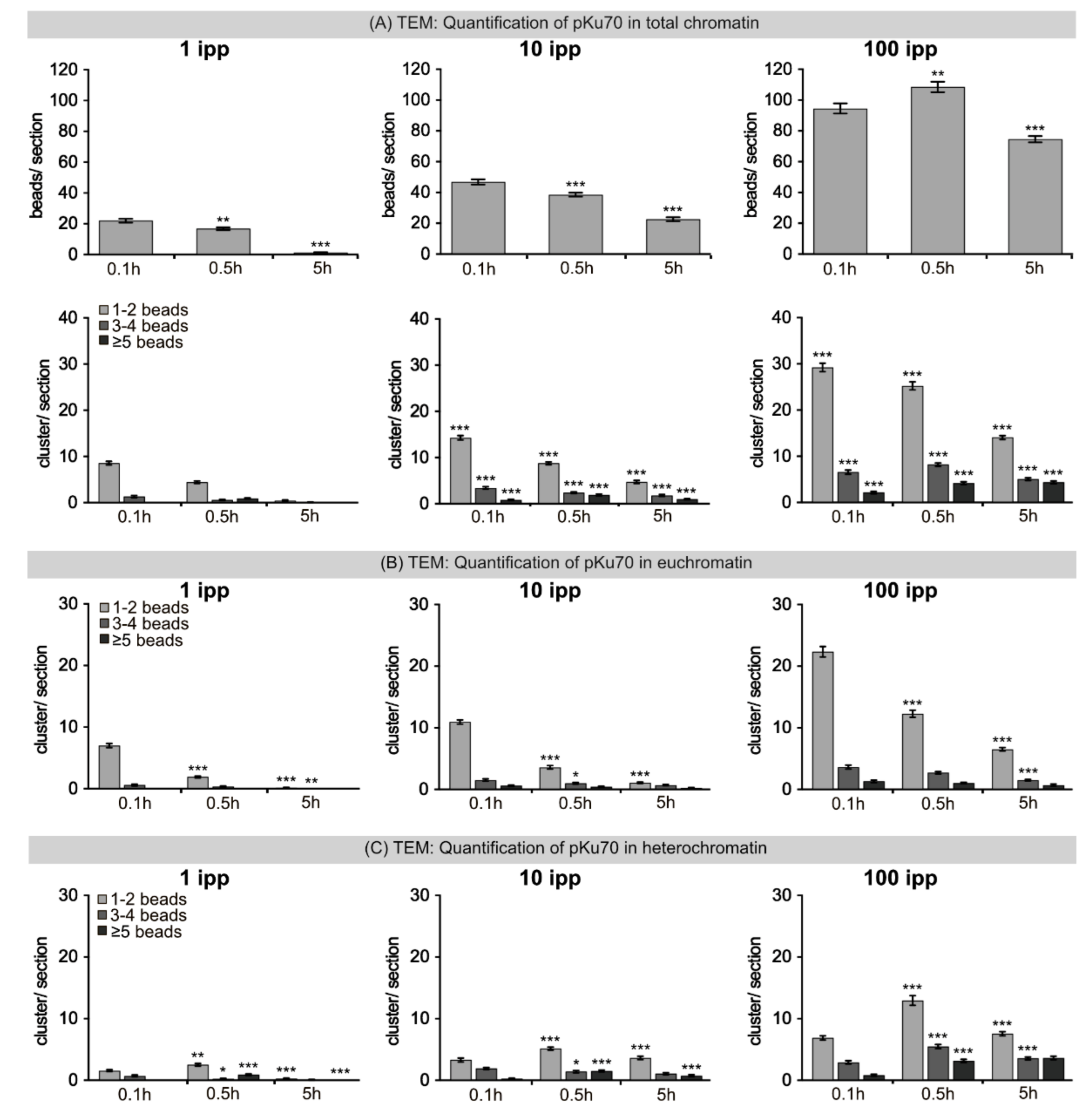 Ijms 22 07638 g005 550