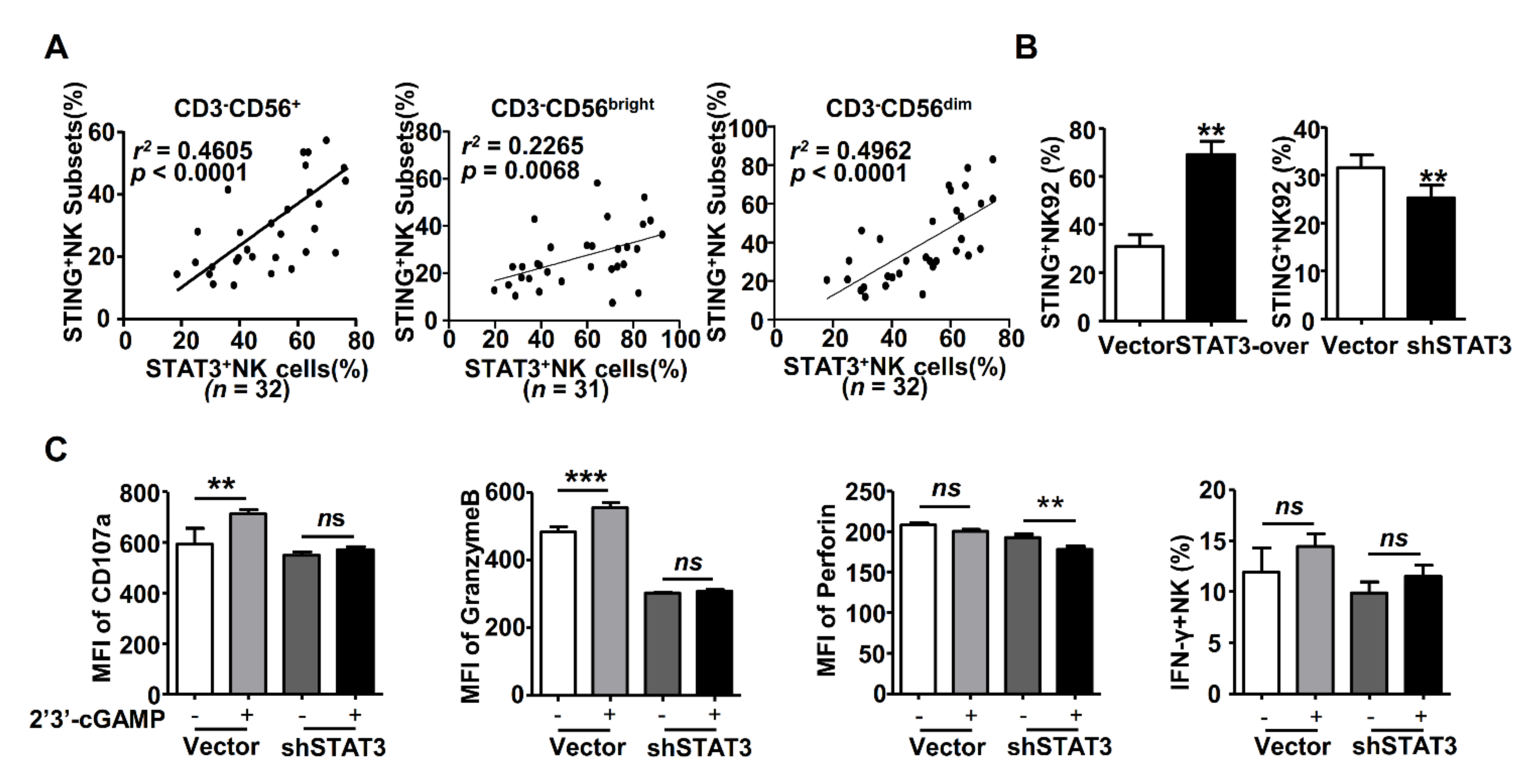 Ijms 22 07643 g004 550