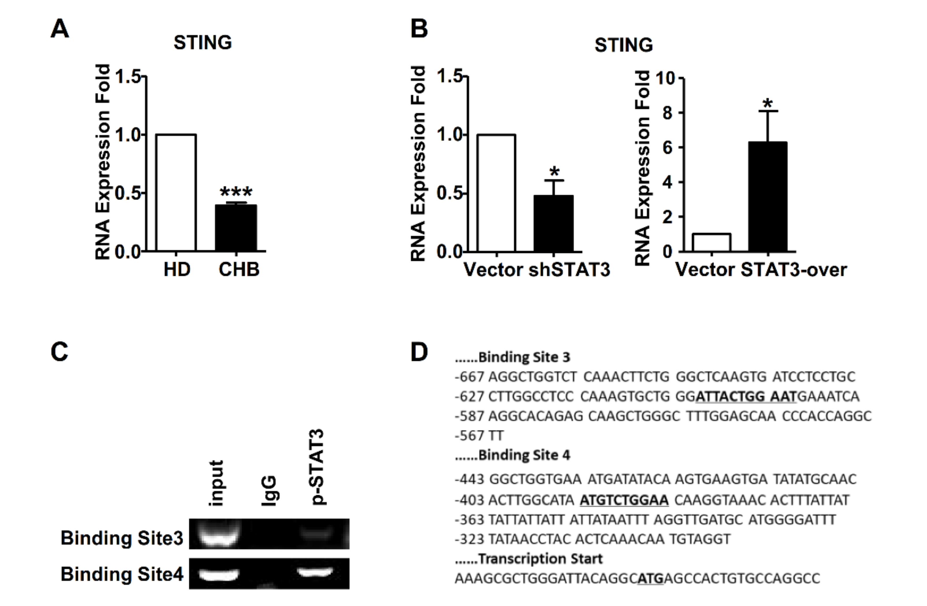 Ijms 22 07643 g005 550