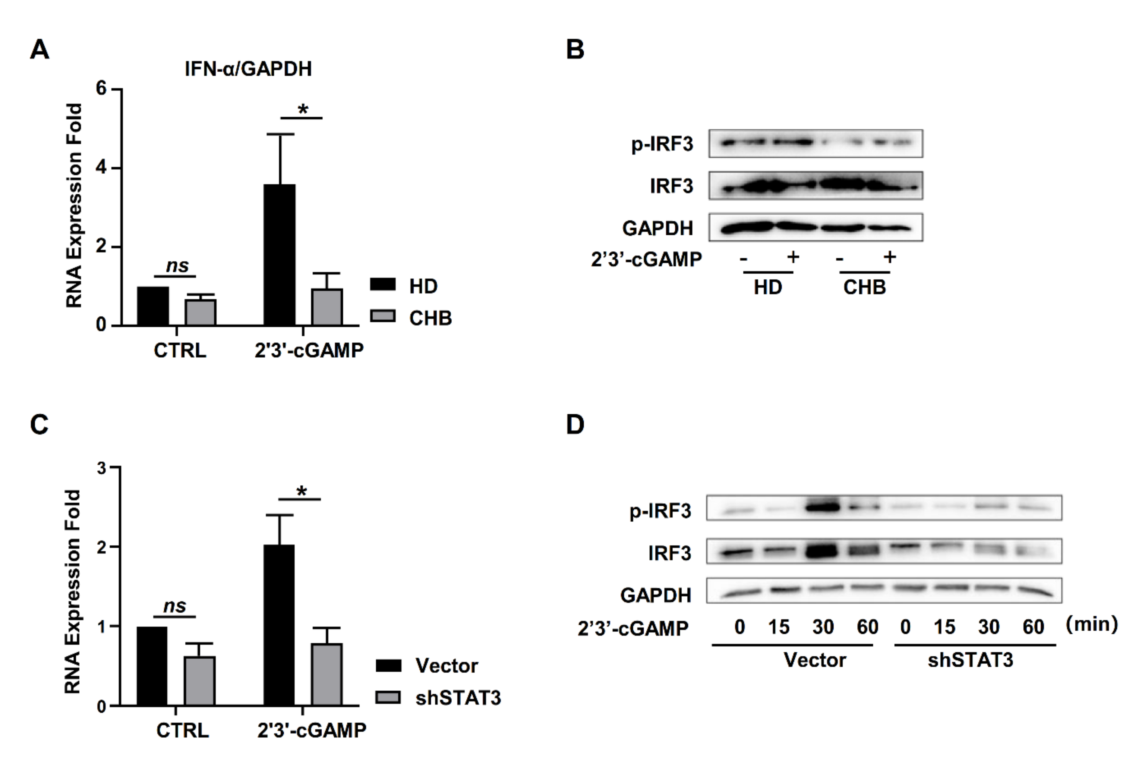 Ijms 22 07643 g006 550