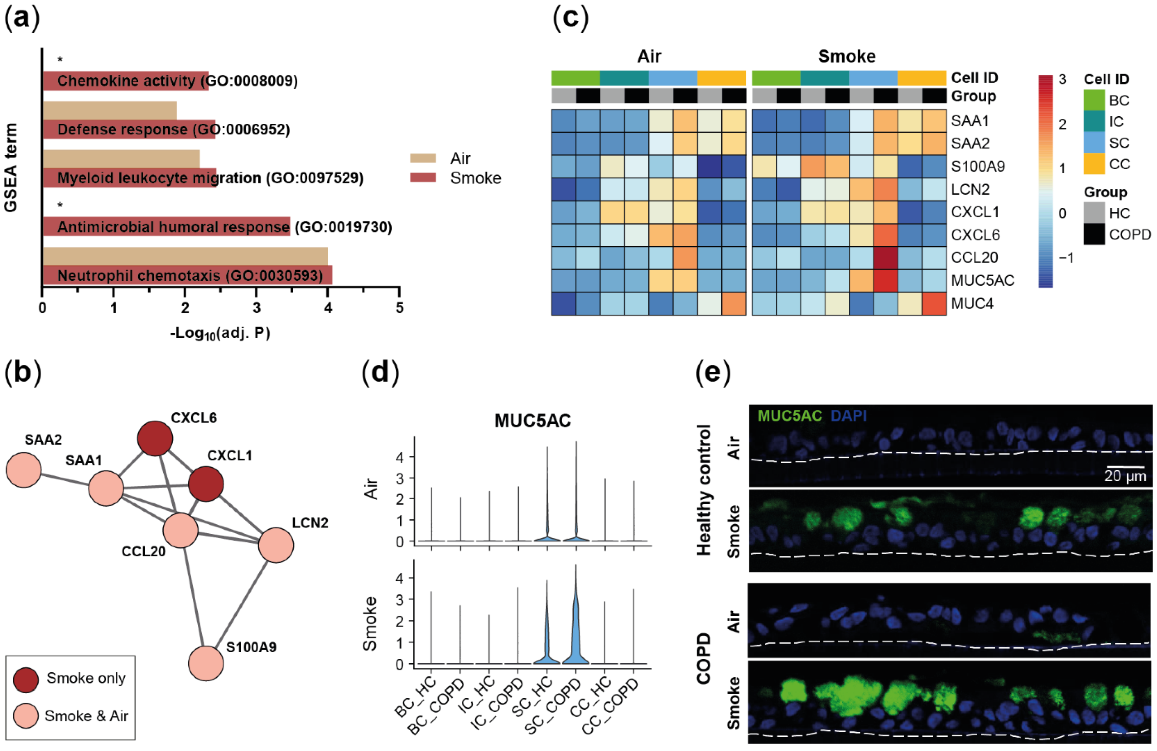 Ijms 22 07646 g003 550