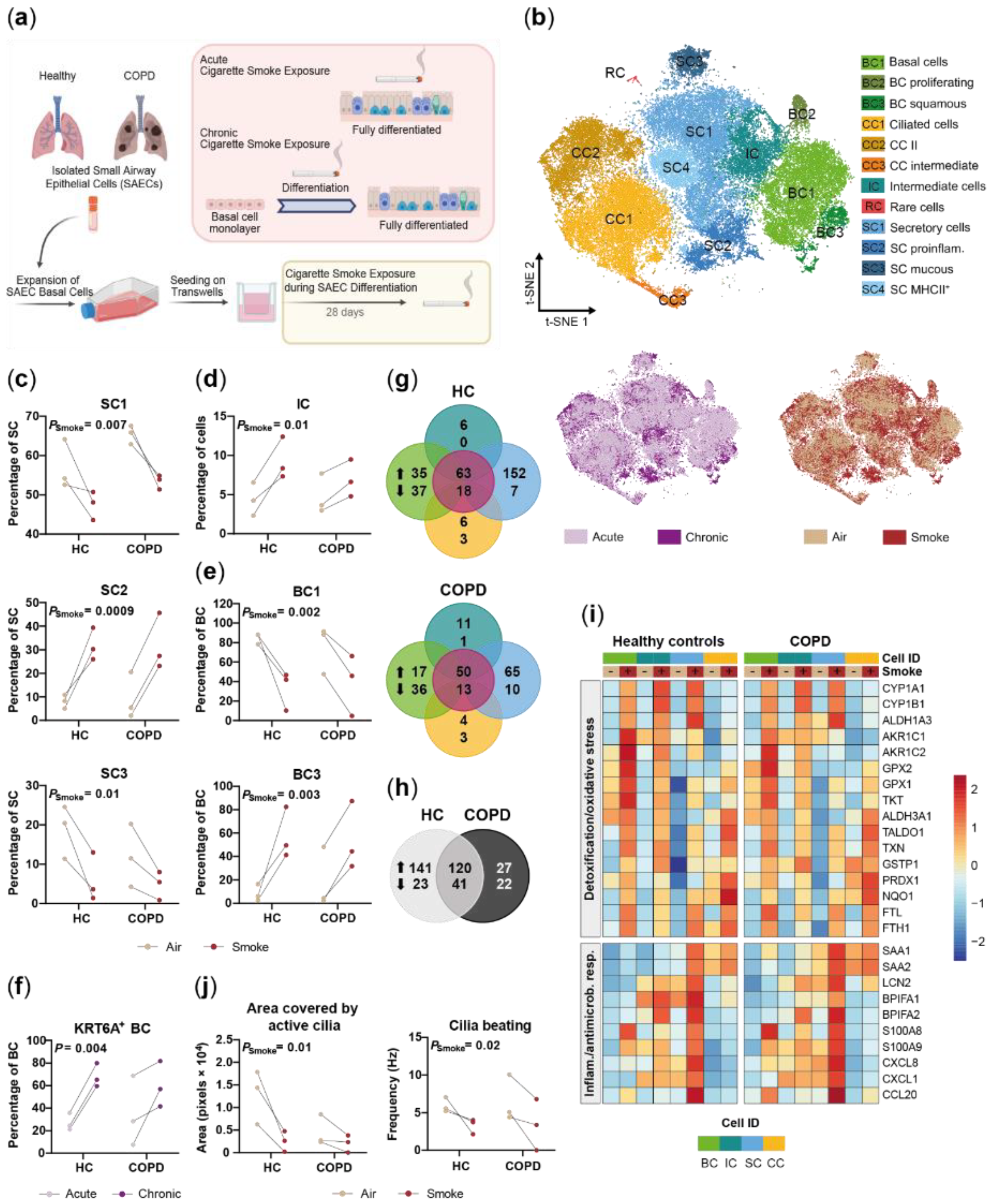 Ijms 22 07646 g005 550