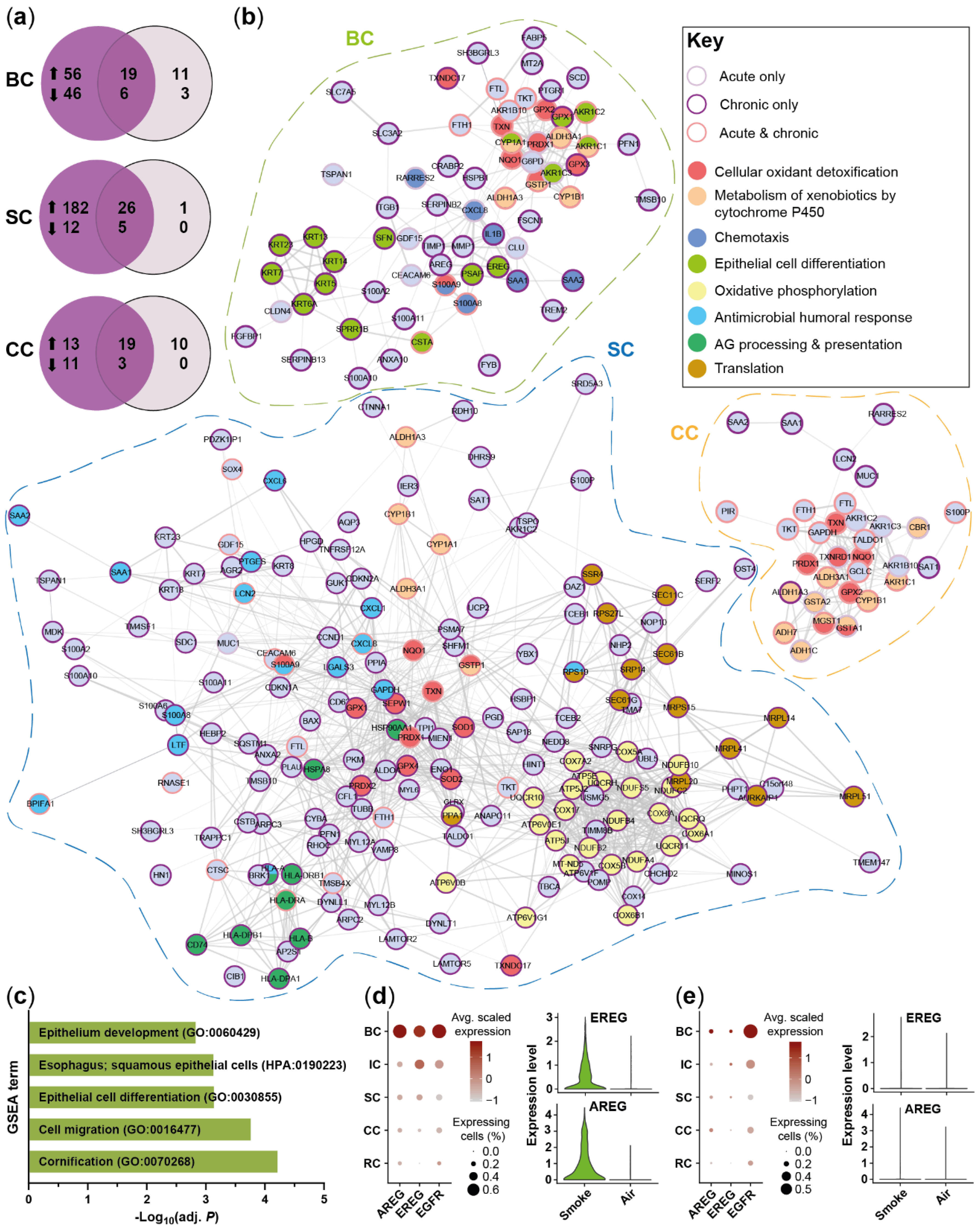 Ijms 22 07646 g006 550