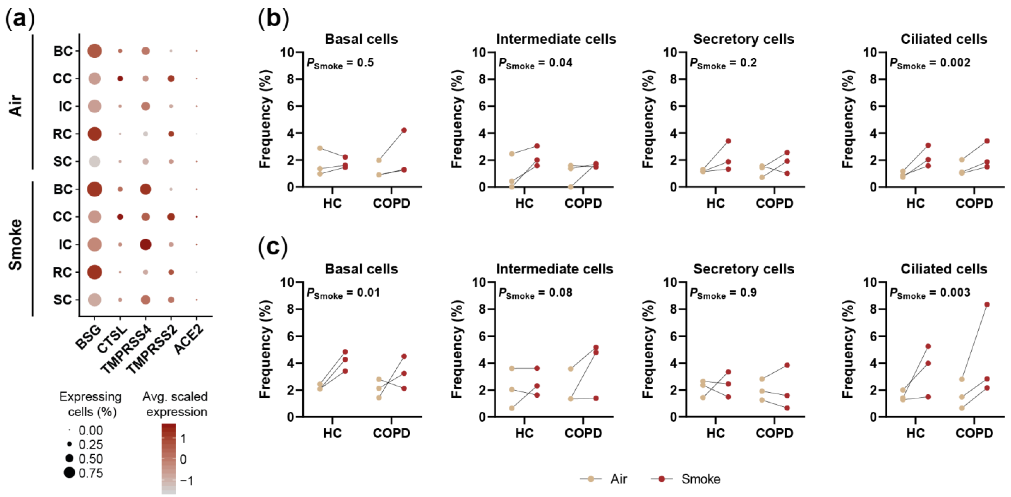 Ijms 22 07646 g007 550
