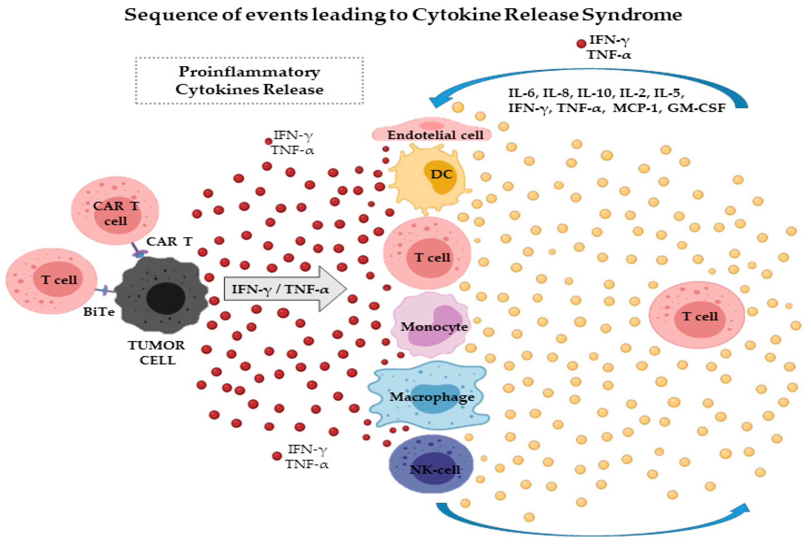 will lung cancer spread to the brain