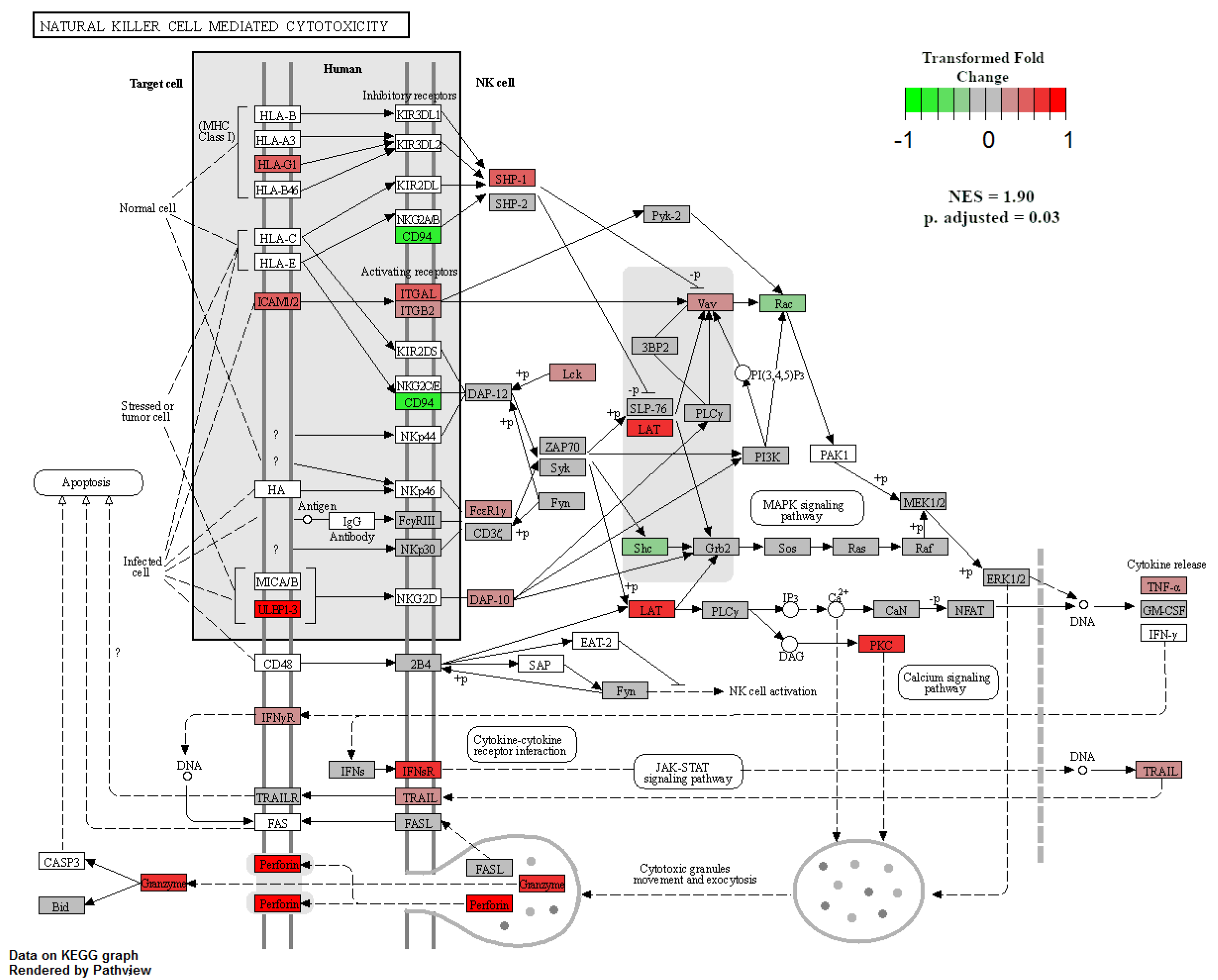 Ijms 22 07654 g007 550