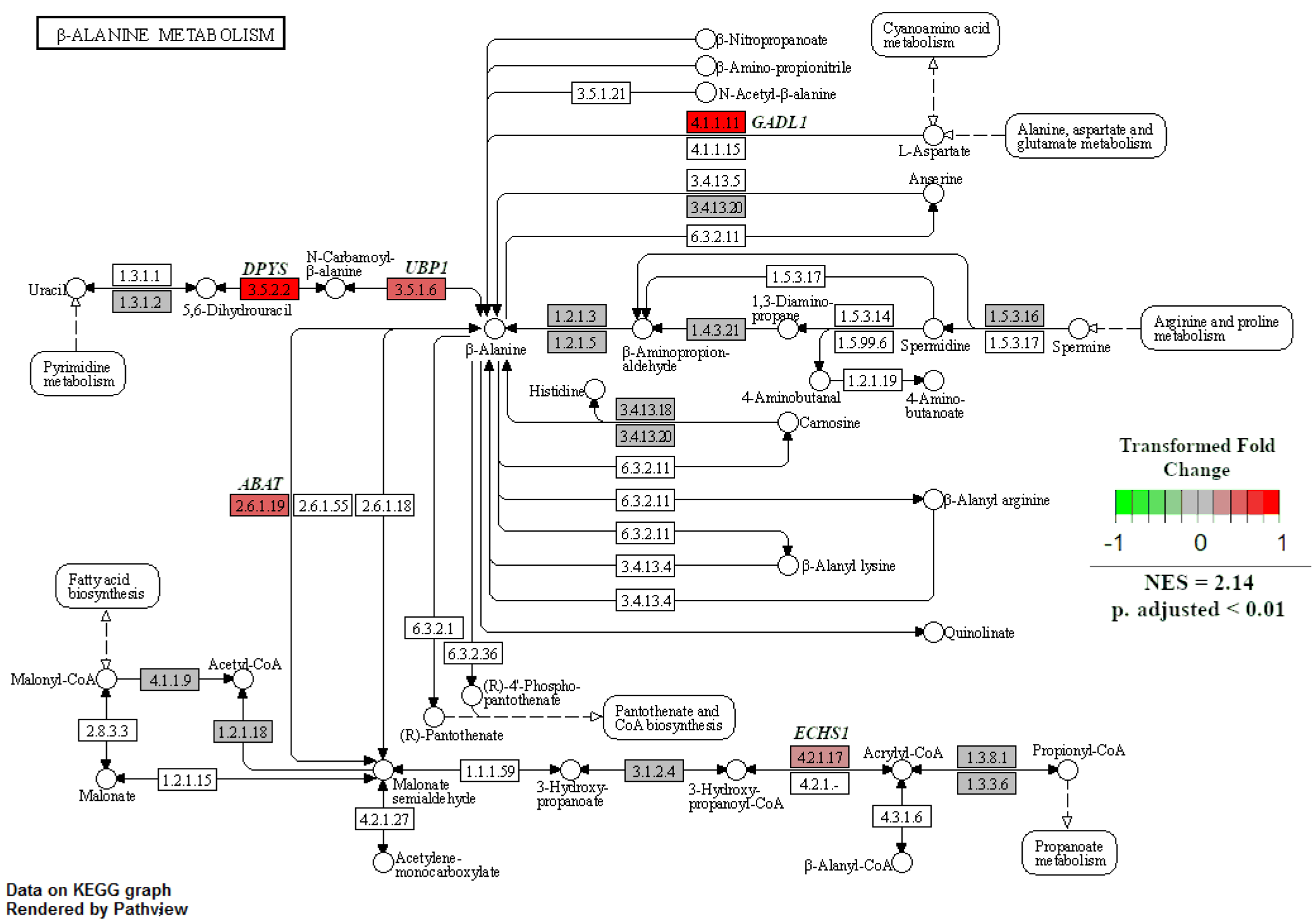 Ijms 22 07654 g008 550