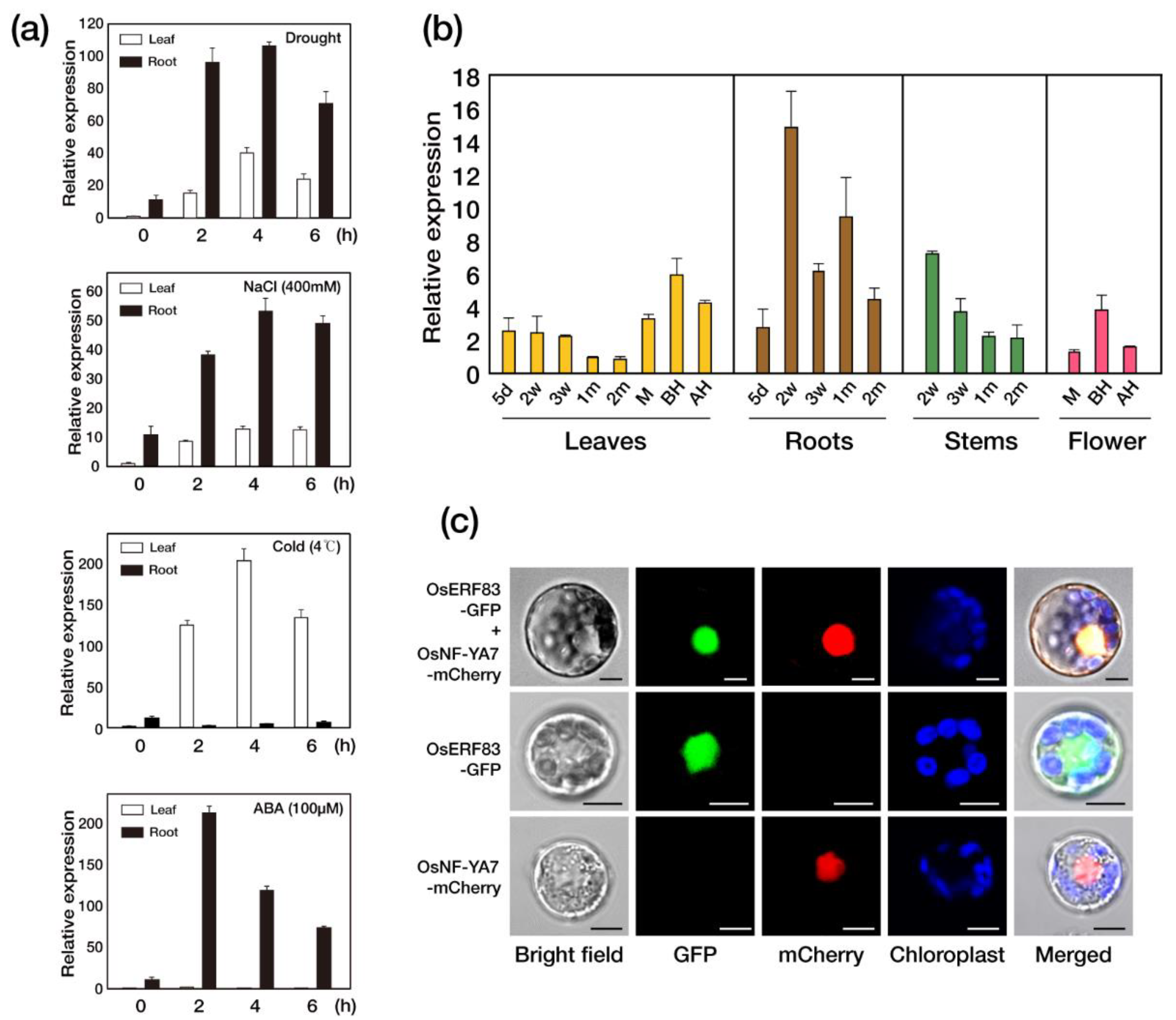 Ijms 22 07656 g001 550