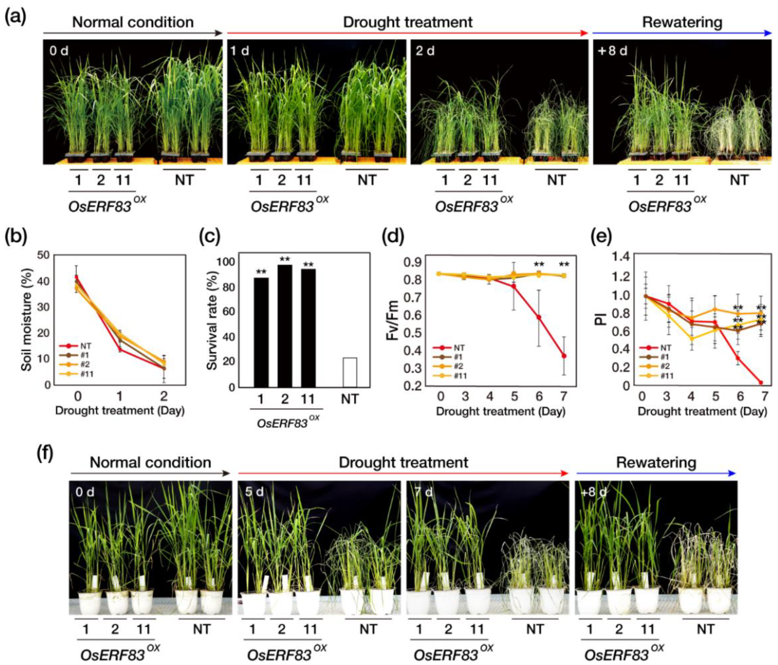 Ijms 22 07656 g002 550