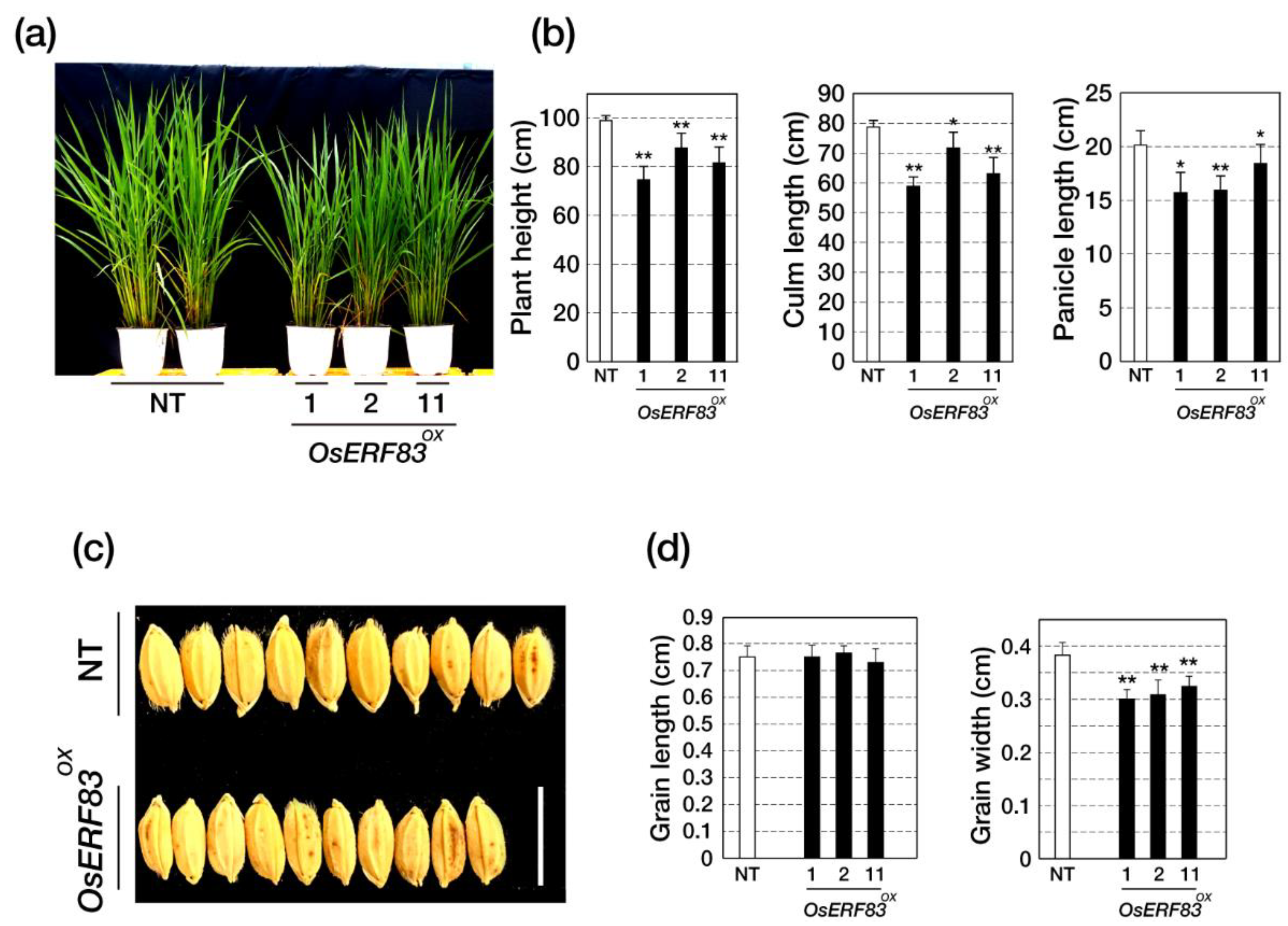 Ijms 22 07656 g003 550