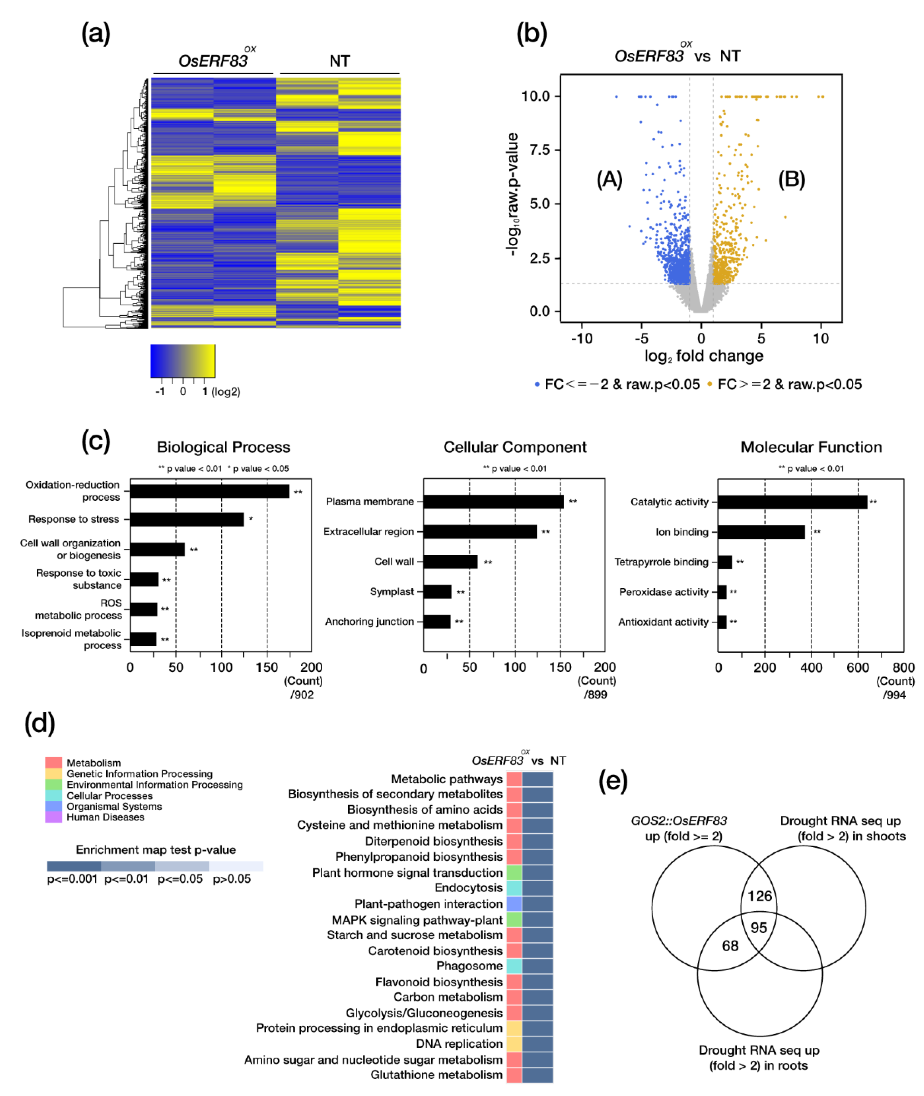 Ijms 22 07656 g006 550