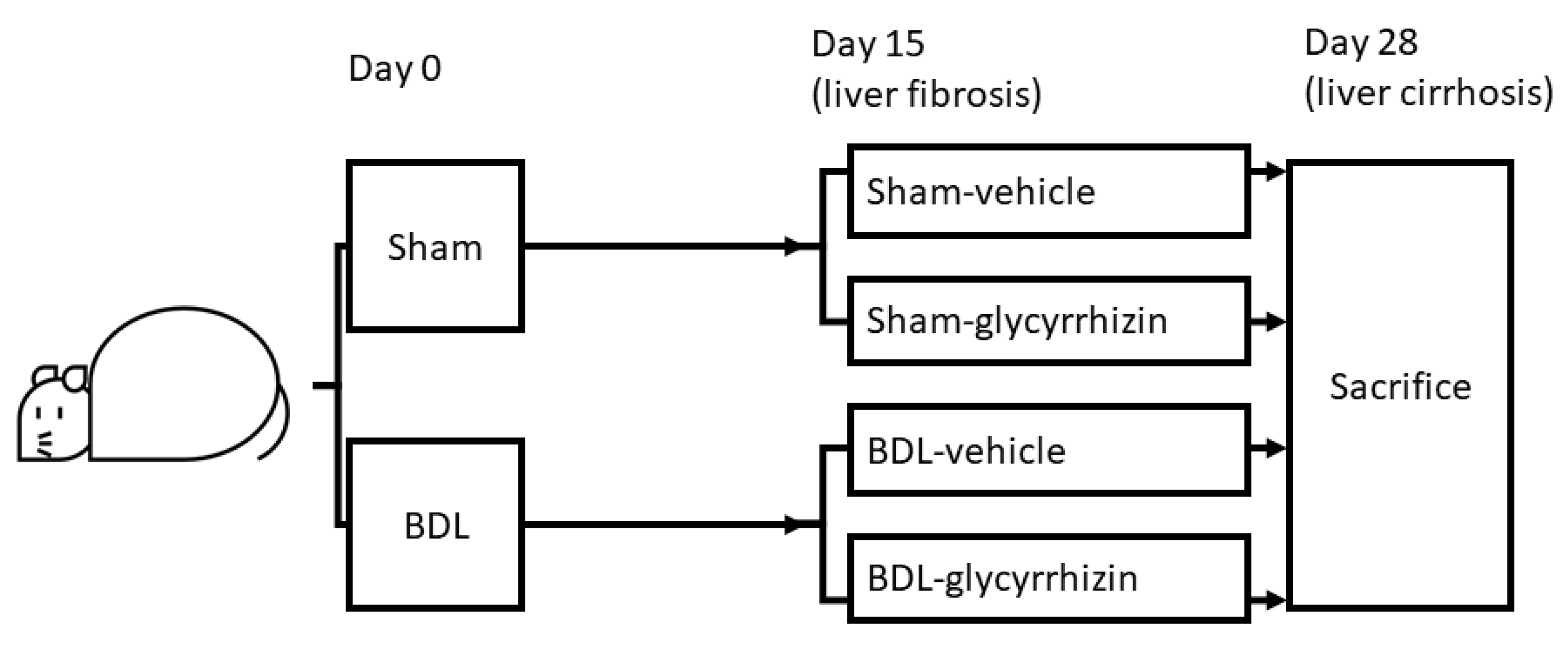 Ijms 22 07662 g001 550