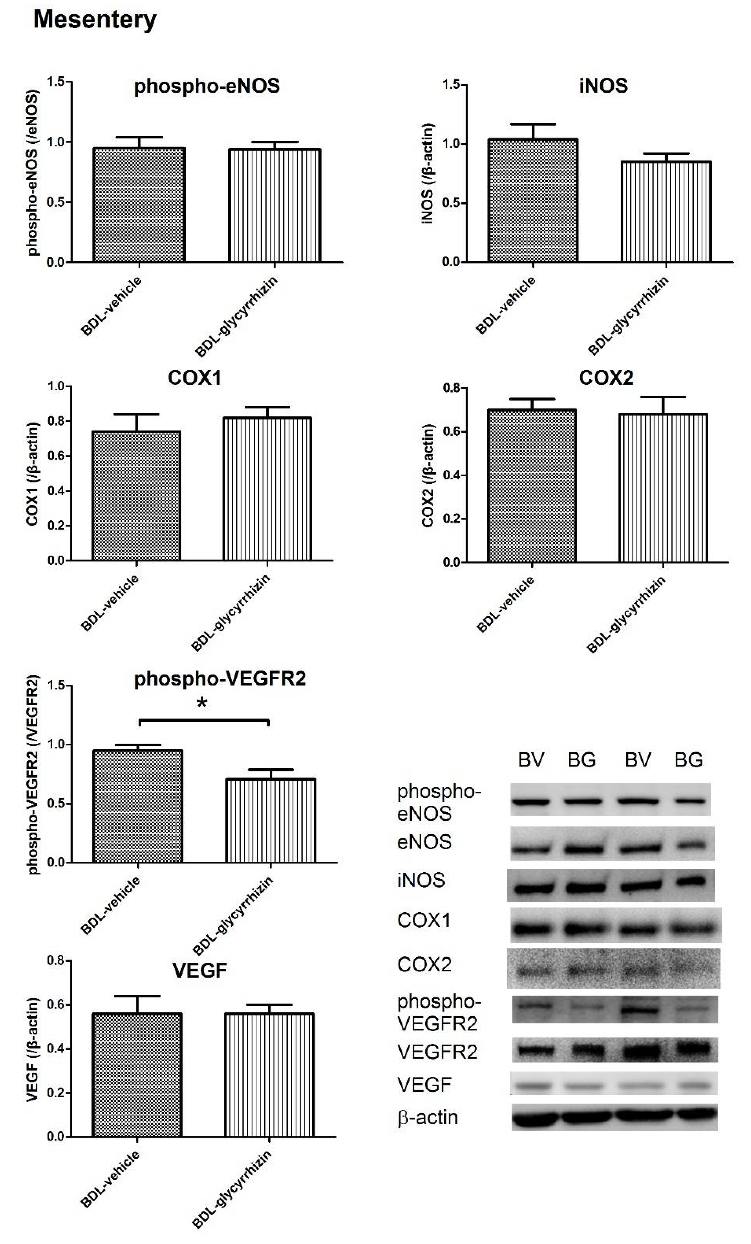 Ijms 22 07662 g004 550