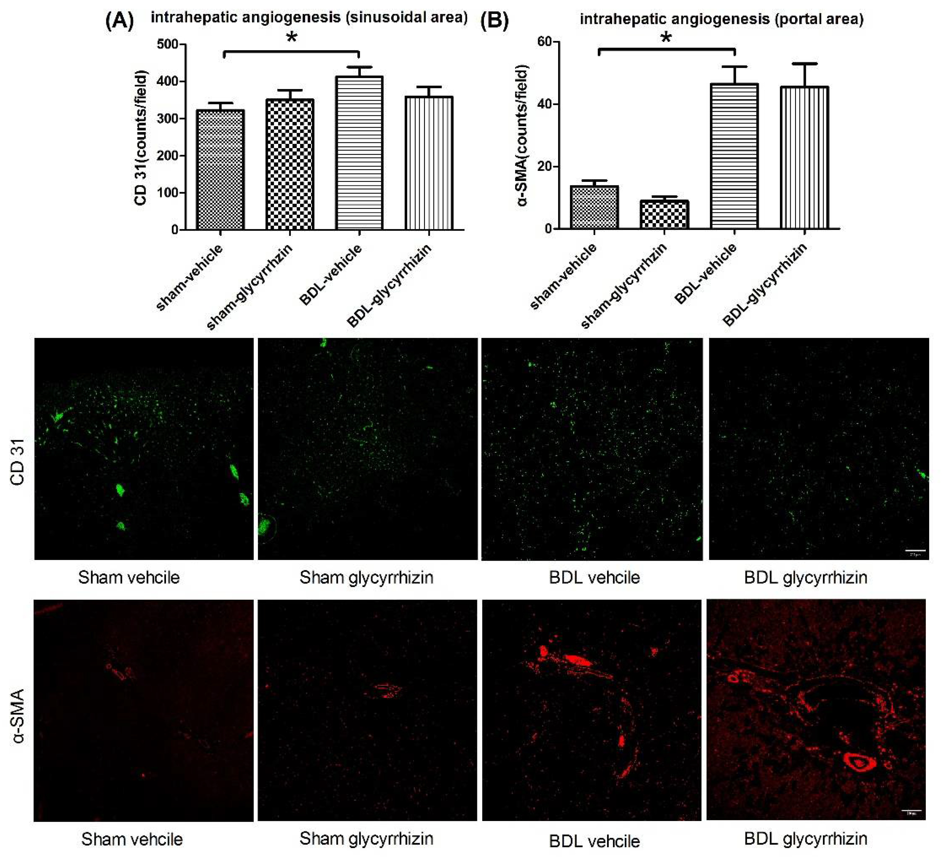 Ijms 22 07662 g007 550