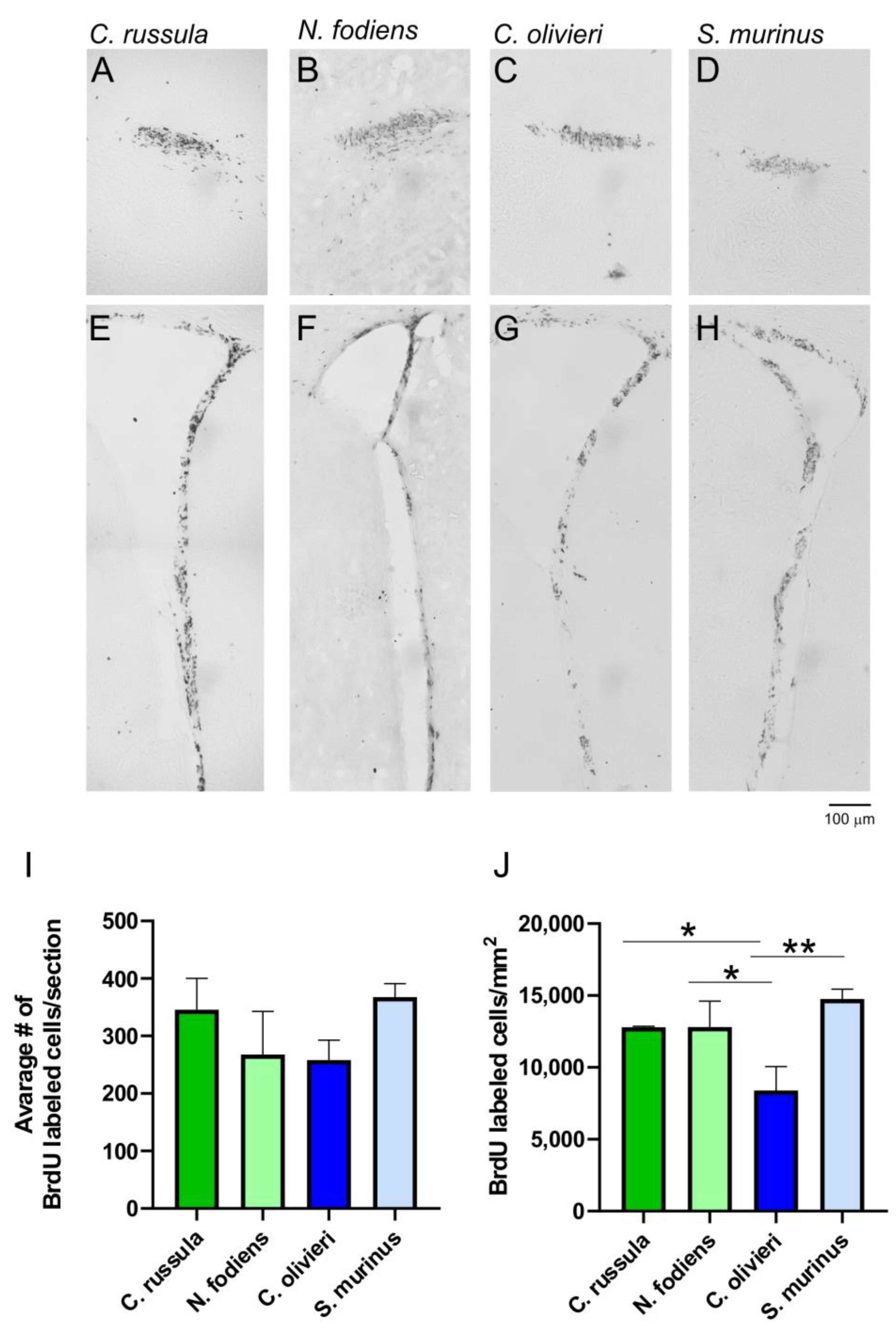 Ijms 22 07664 g002 550