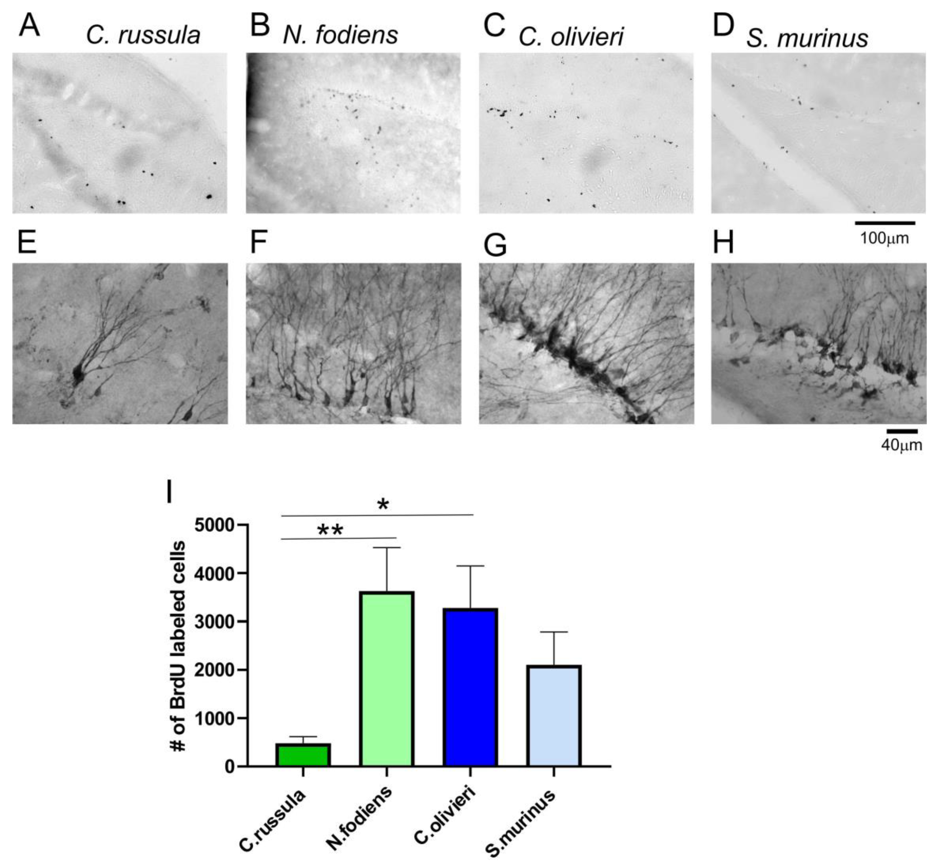 Ijms 22 07664 g004 550