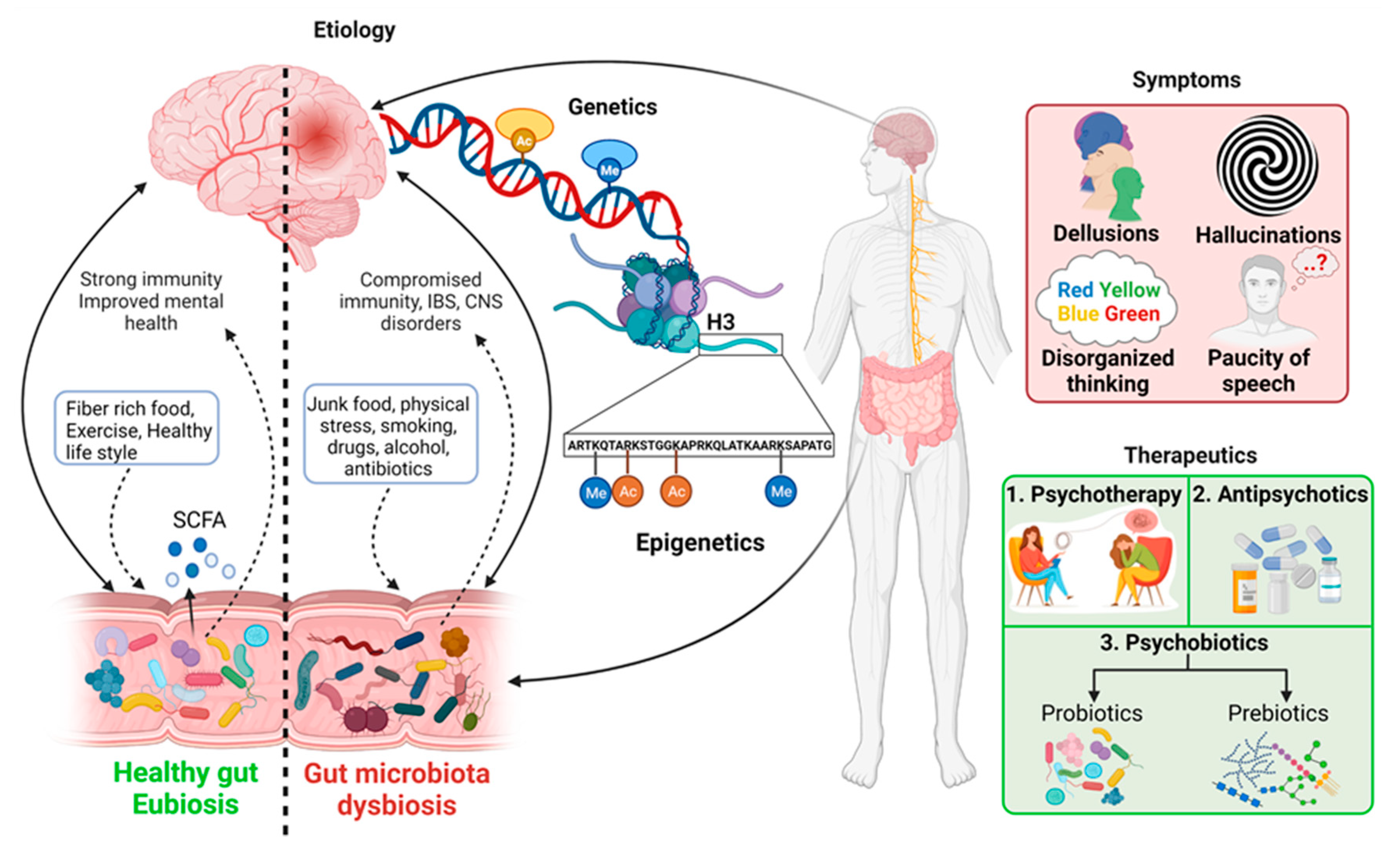 Systemic IgG repertoire as a biomarker for translocating gut