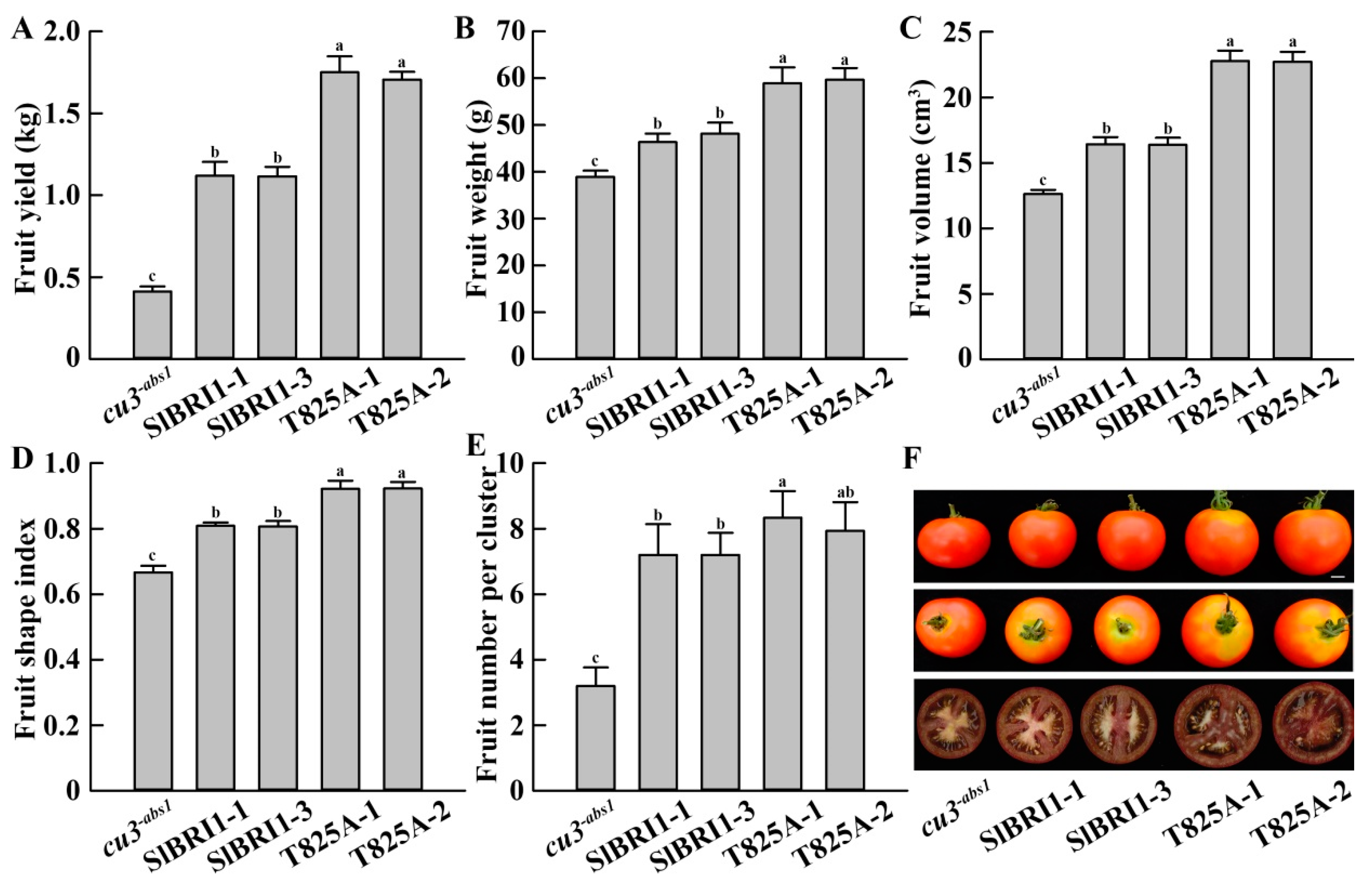 Ijms 22 07673 g004 Ijms 22 07673 g004