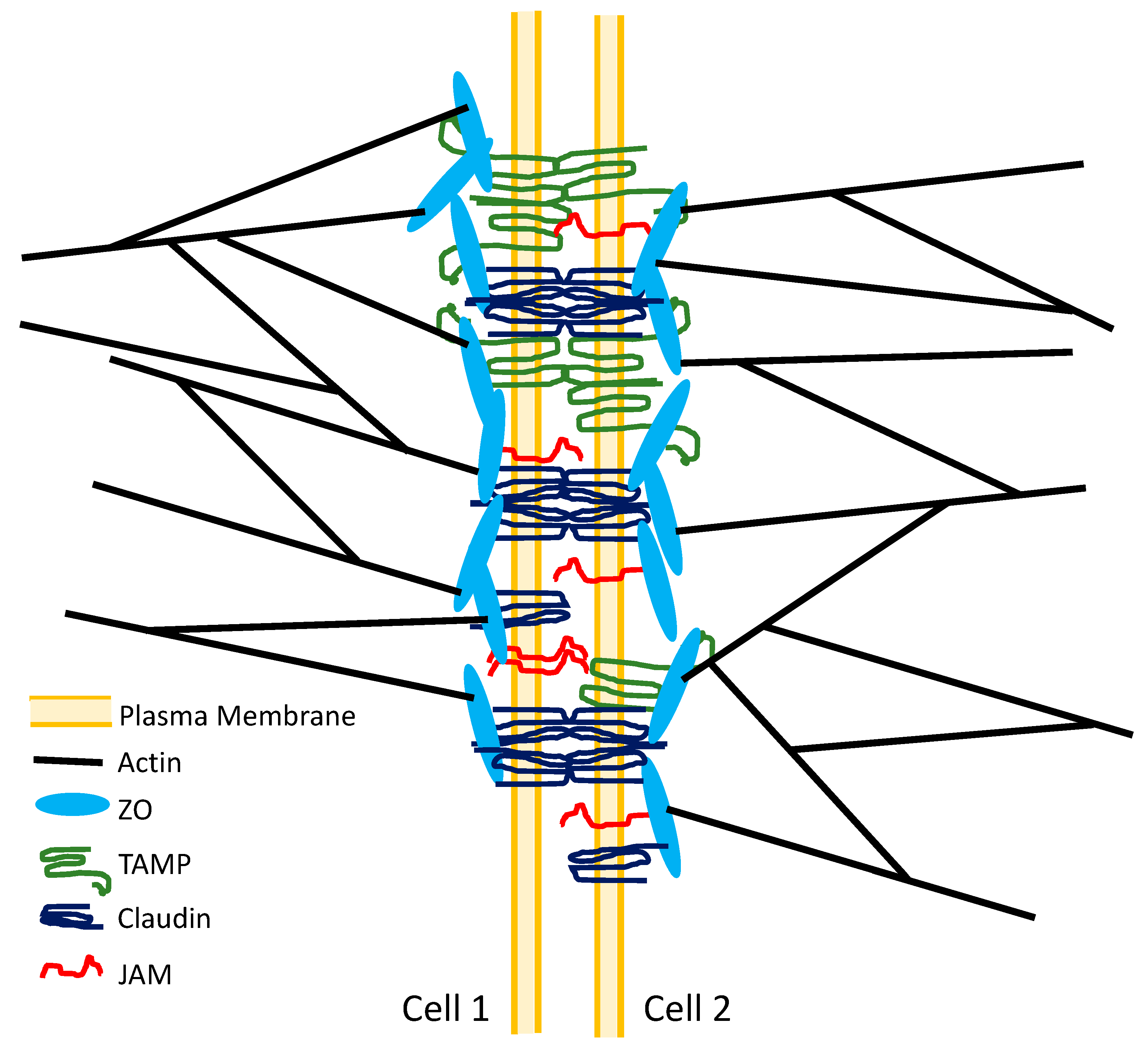 Ijms 22 07677 g001 Ijms 22 07677 g001
