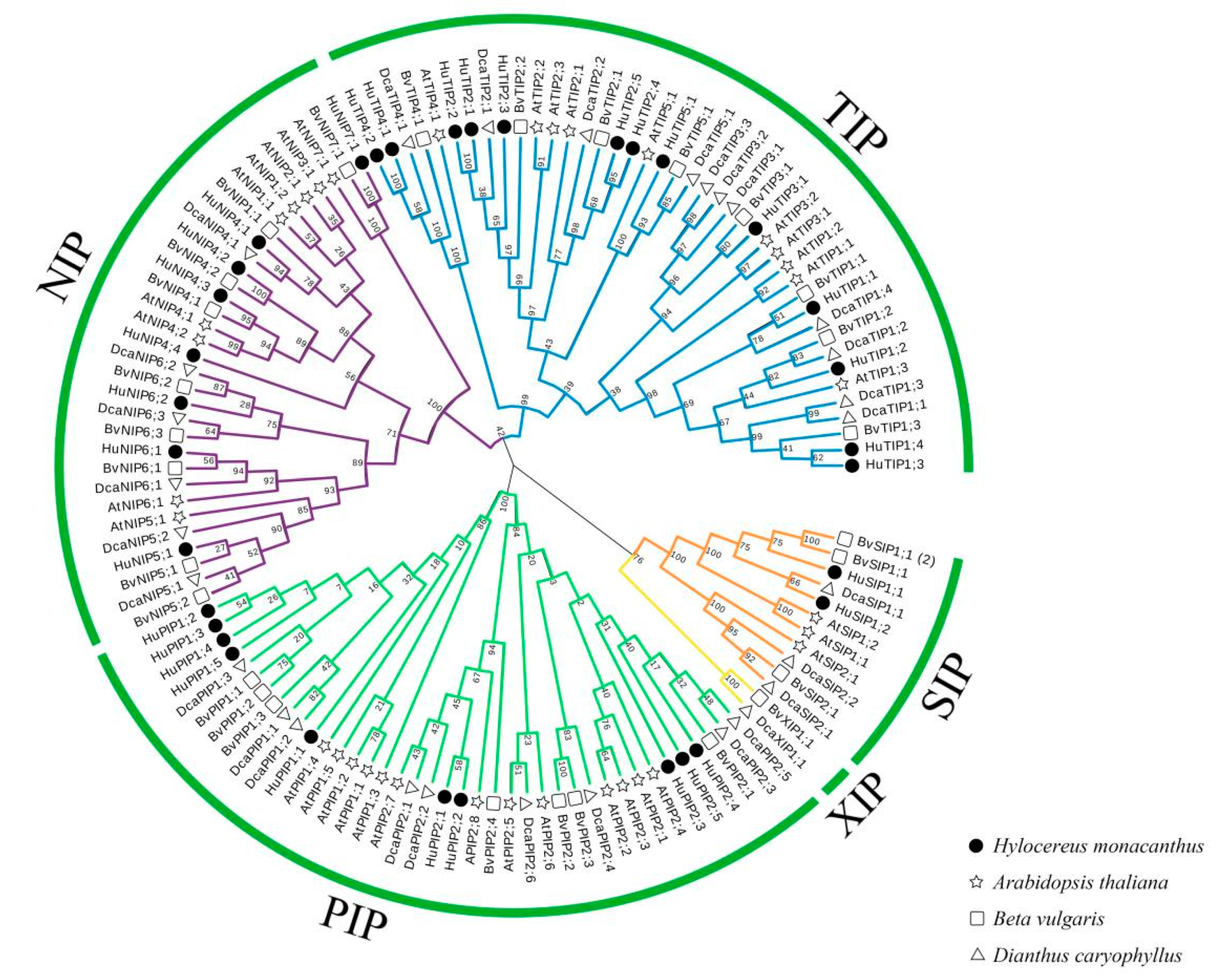 Ijms 22 07689 g001 550