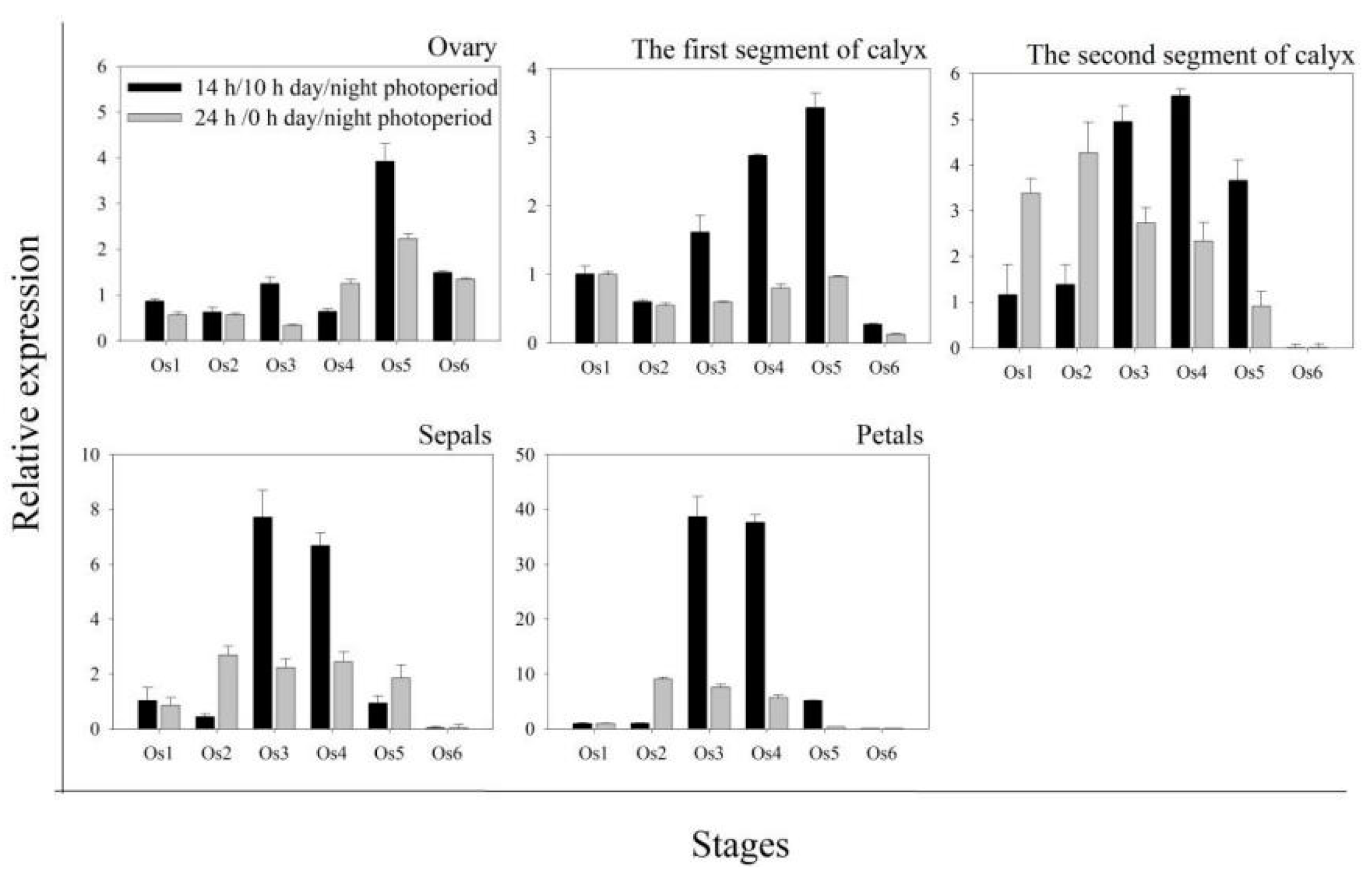 Ijms 22 07689 g005 550