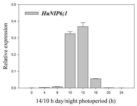 IJMS | Free Full-Text | Genome-Wide Identification of Aquaporin 