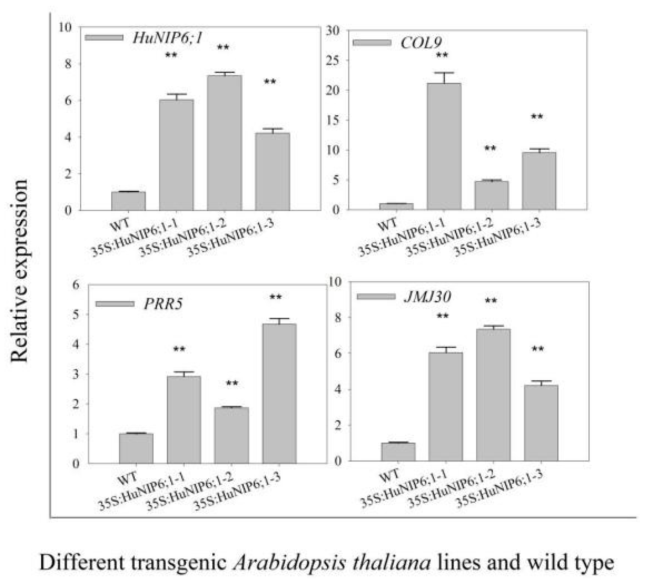 Ijms 22 07689 g009 550
