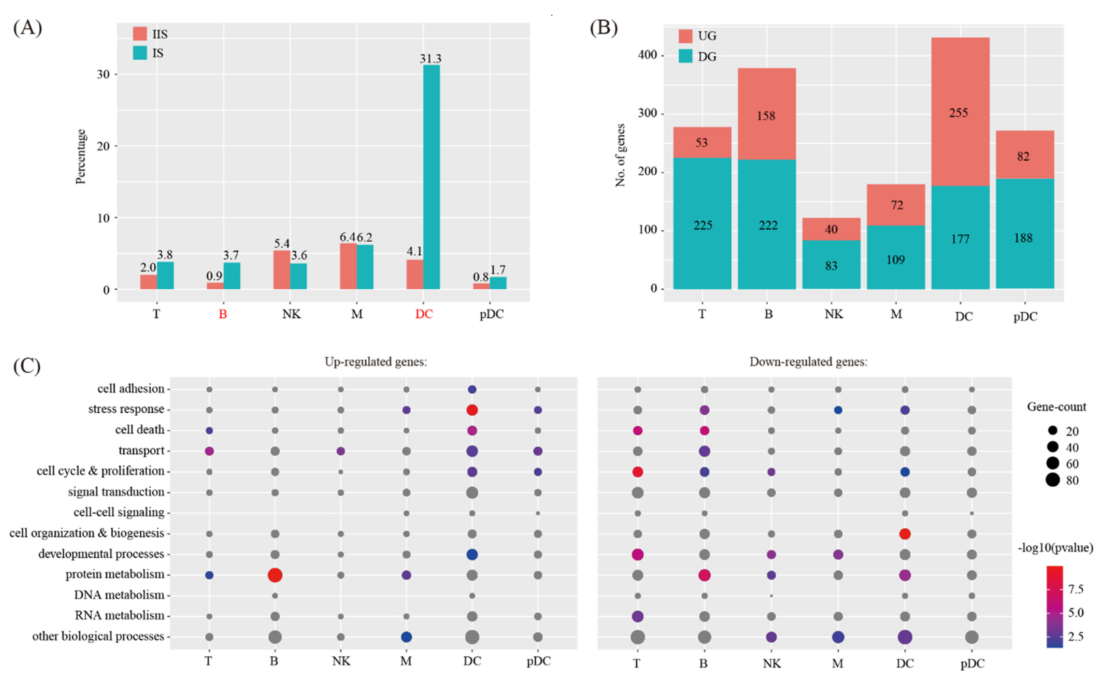 Ijms 22 07696 g004 Ijms 22 07696 g004